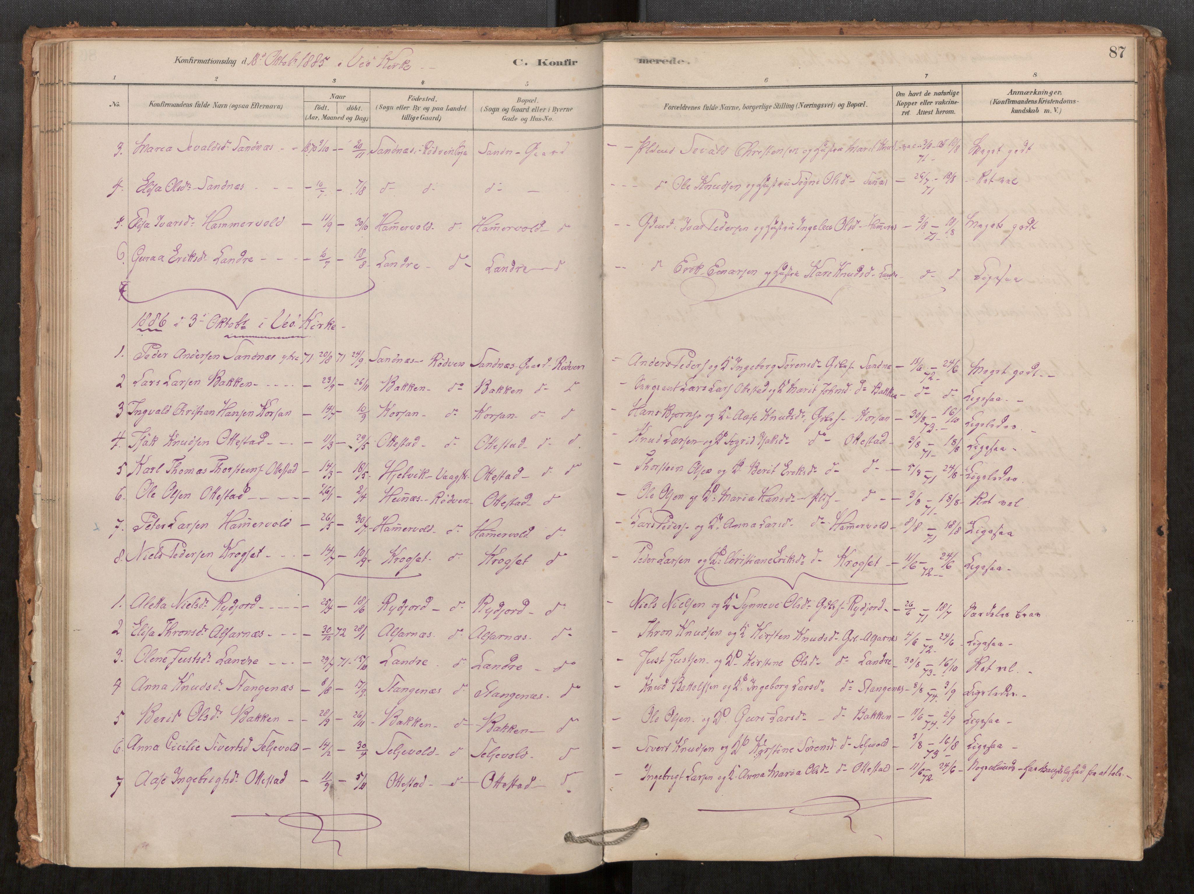 Ministerialprotokoller, klokkerbøker og fødselsregistre - Møre og Romsdal, AV/SAT-A-1454/548/L0615: Parish register (official) no. 548A02, 1878-1906, p. 87