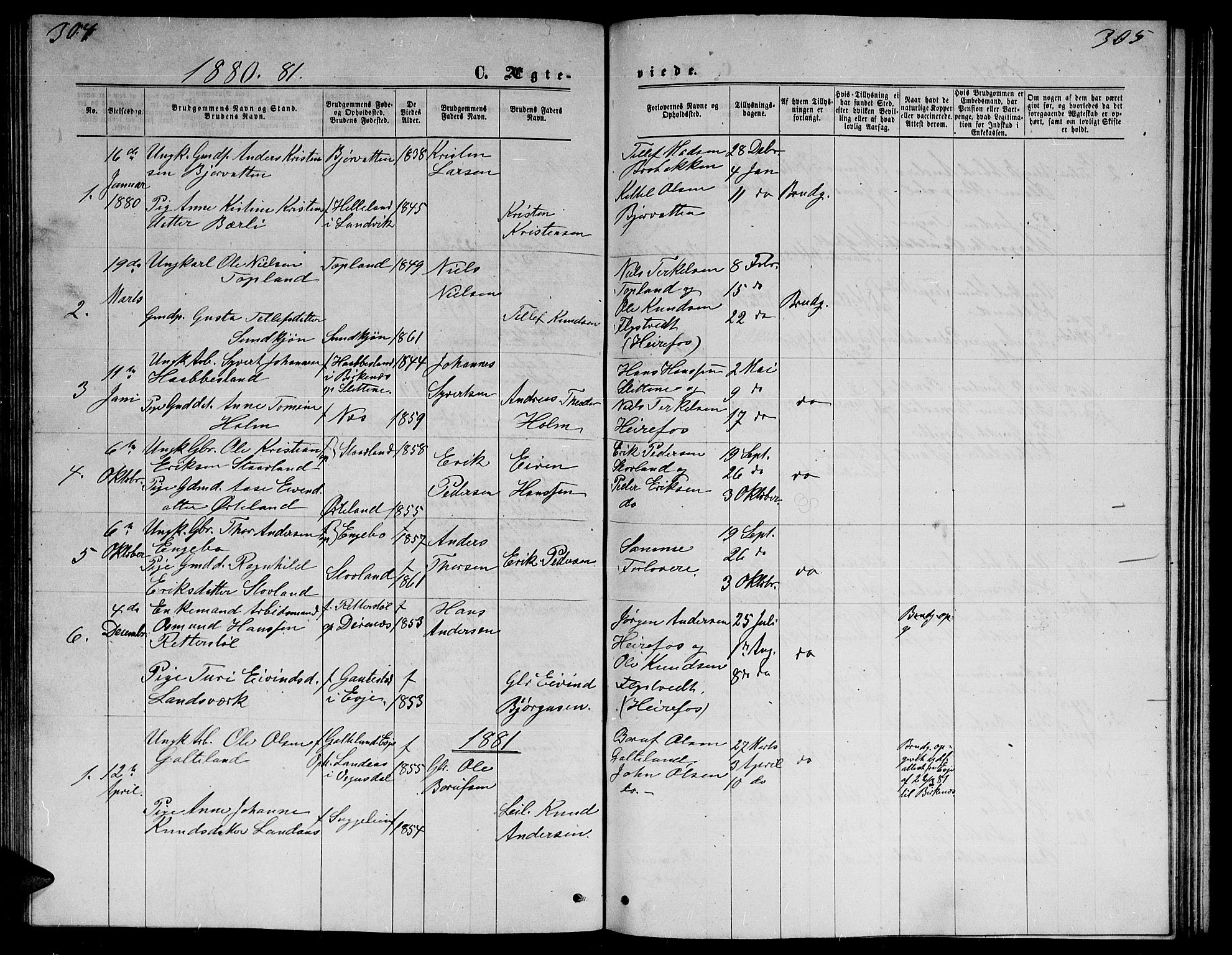 Herefoss sokneprestkontor, SAK/1111-0019/F/Fb/Fba/L0002: Parish register (copy) no. B 2, 1868-1886, p. 304-305