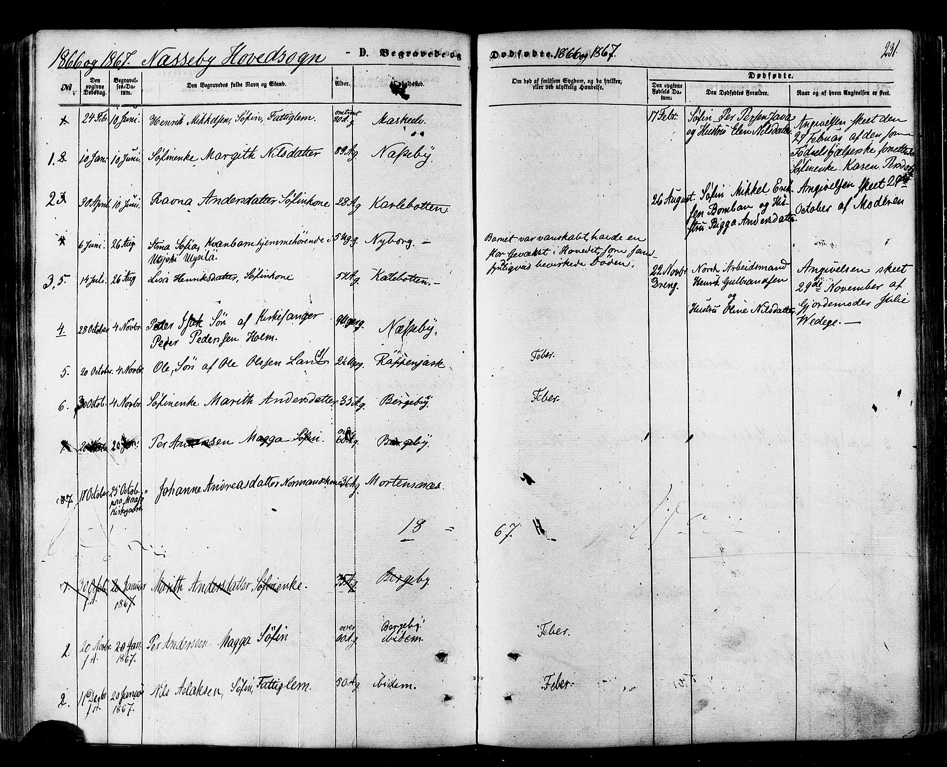 Nesseby sokneprestkontor, SATØ/S-1330/H/Ha/L0003kirke: Parish register (official) no. 3 /1, 1865-1876, p. 231