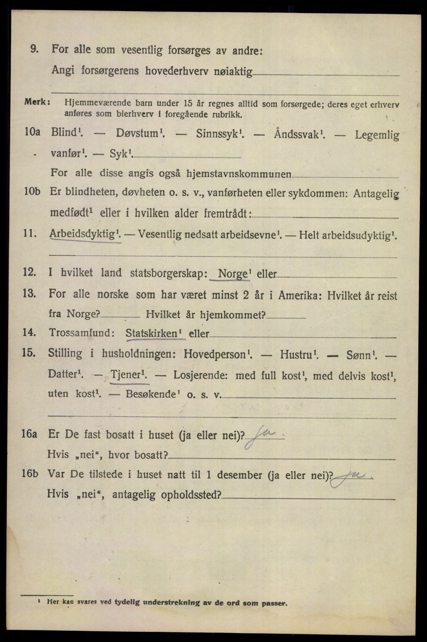 SAKO, 1920 census for Norderhov, 1920, p. 12171