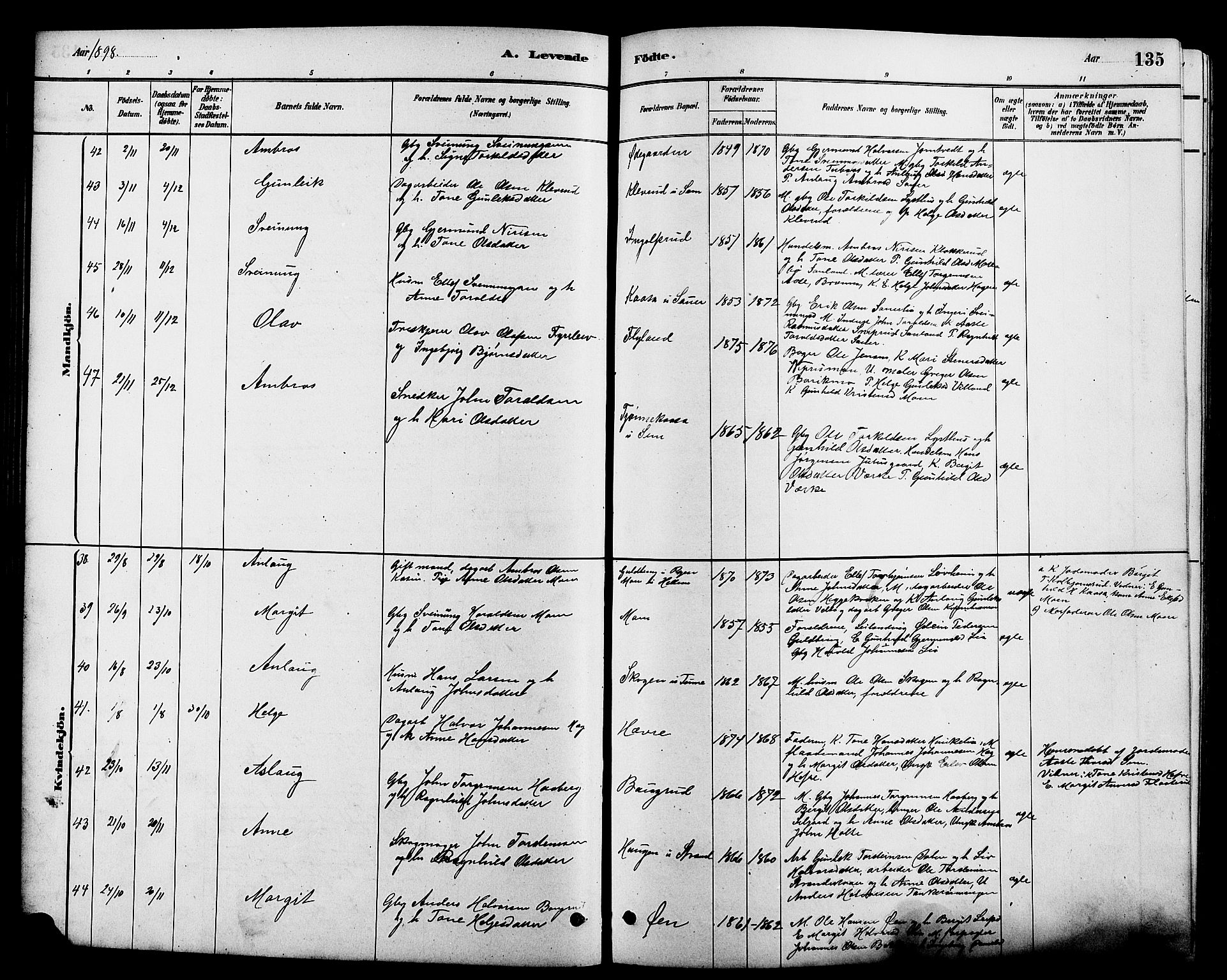 Heddal kirkebøker, SAKO/A-268/G/Ga/L0002: Parish register (copy) no. I 2, 1879-1908, p. 135