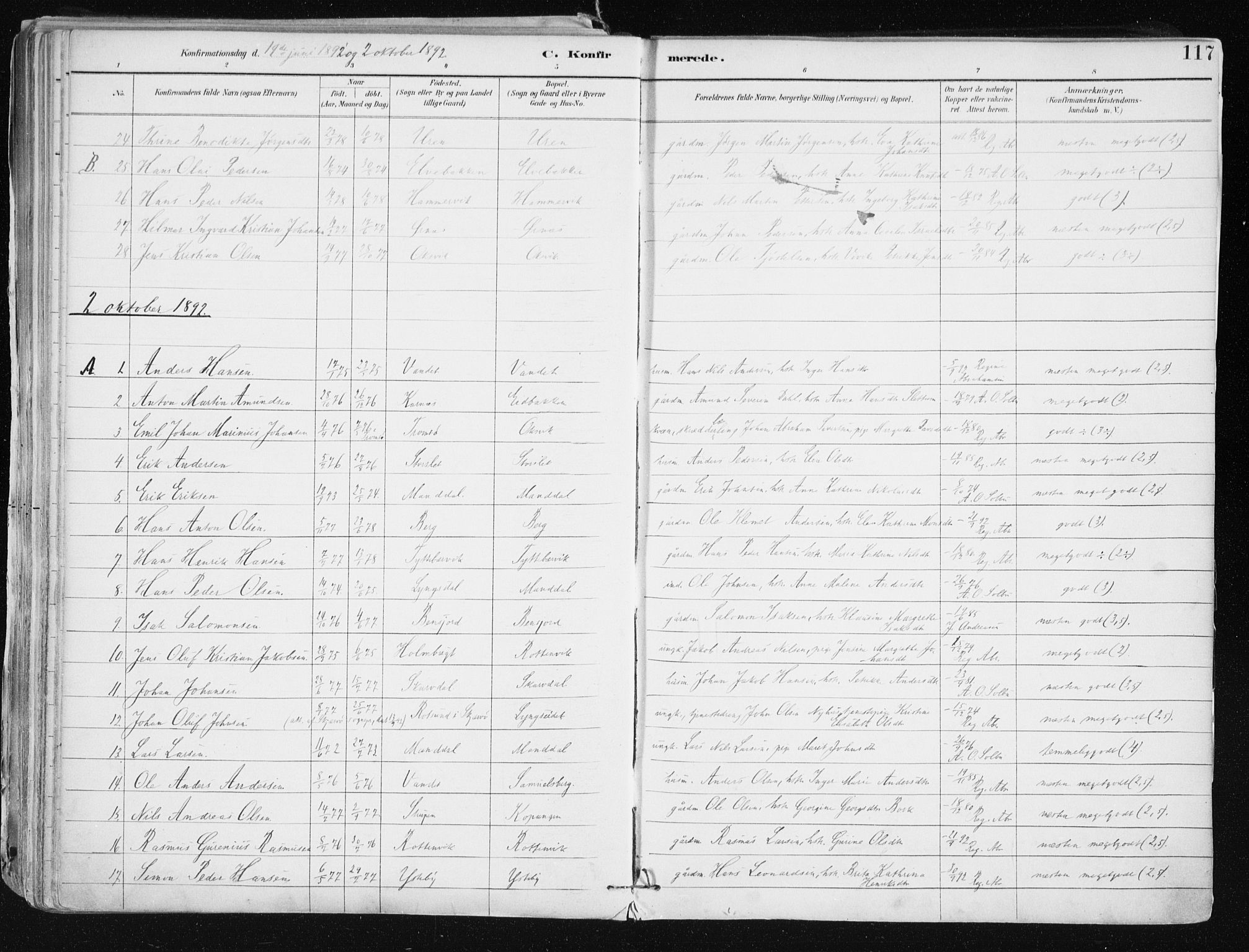 Lyngen sokneprestembete, SATØ/S-1289/H/He/Hea/L0008kirke: Parish register (official) no. 8, 1891-1902, p. 117
