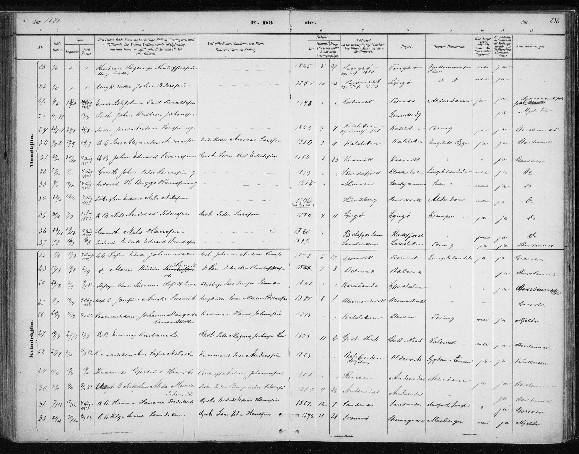 Tromsøysund sokneprestkontor, SATØ/S-1304/G/Ga/L0004kirke: Parish register (official) no. 4, 1880-1888, p. 236