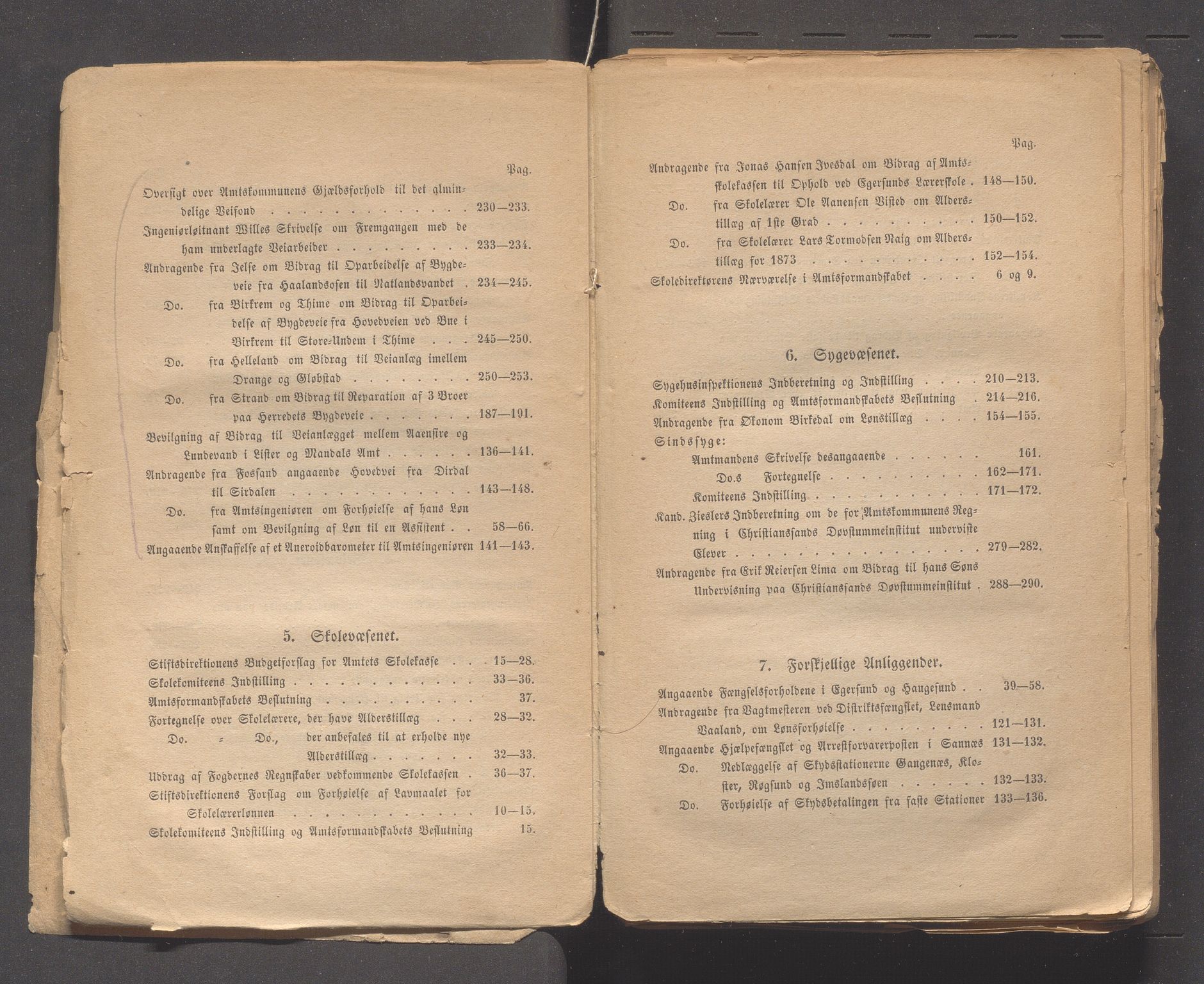 Rogaland fylkeskommune - Fylkesrådmannen , IKAR/A-900/A, 1874-1875, p. 6