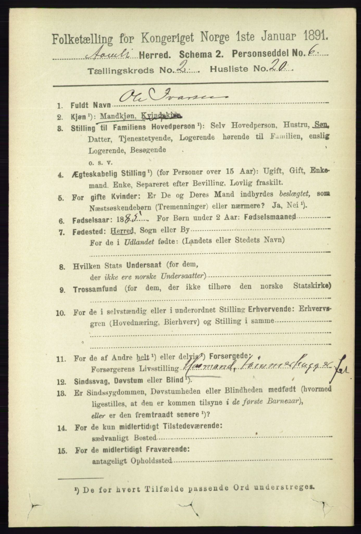 RA, 1891 census for 0929 Åmli, 1891, p. 294