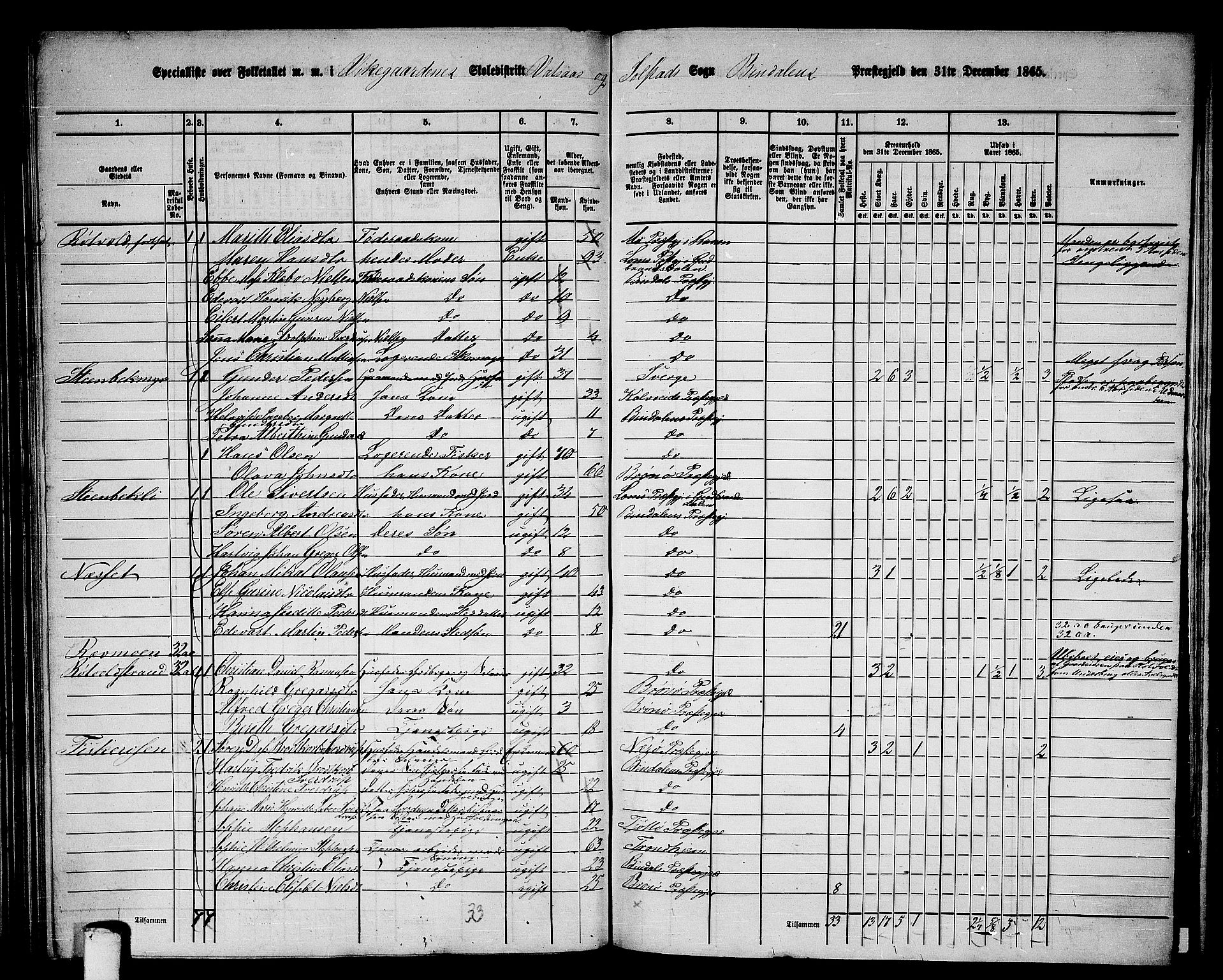 RA, 1865 census for Bindal, 1865, p. 77