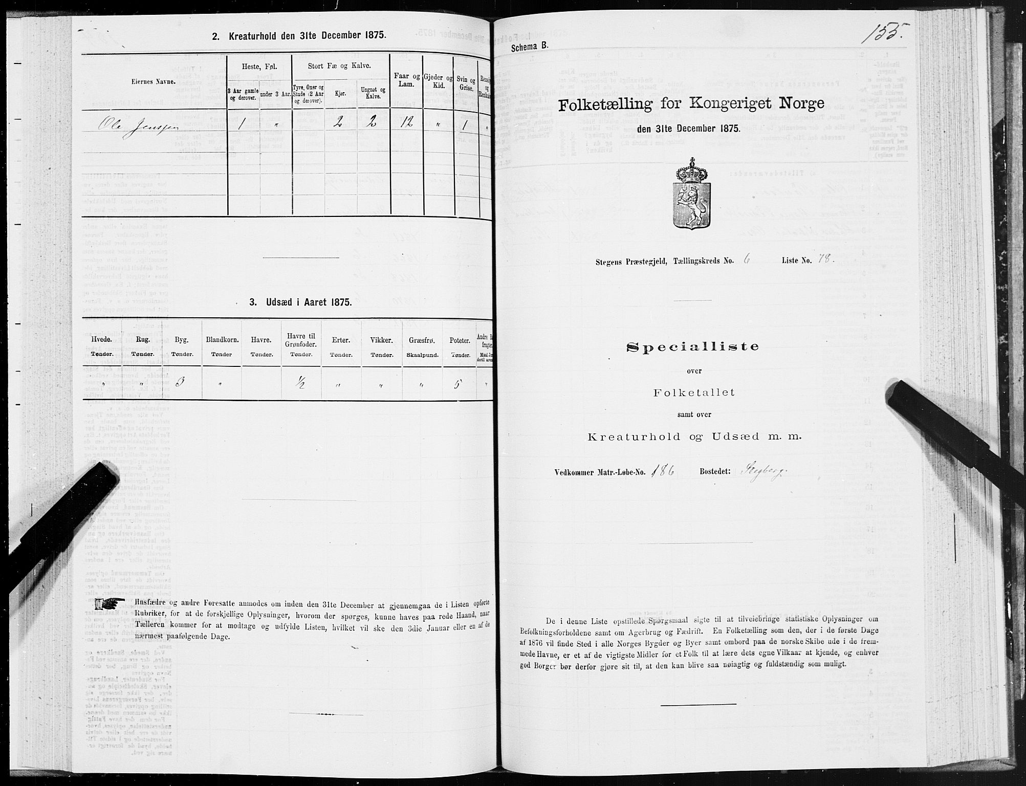 SAT, 1875 census for 1848P Steigen, 1875, p. 3155