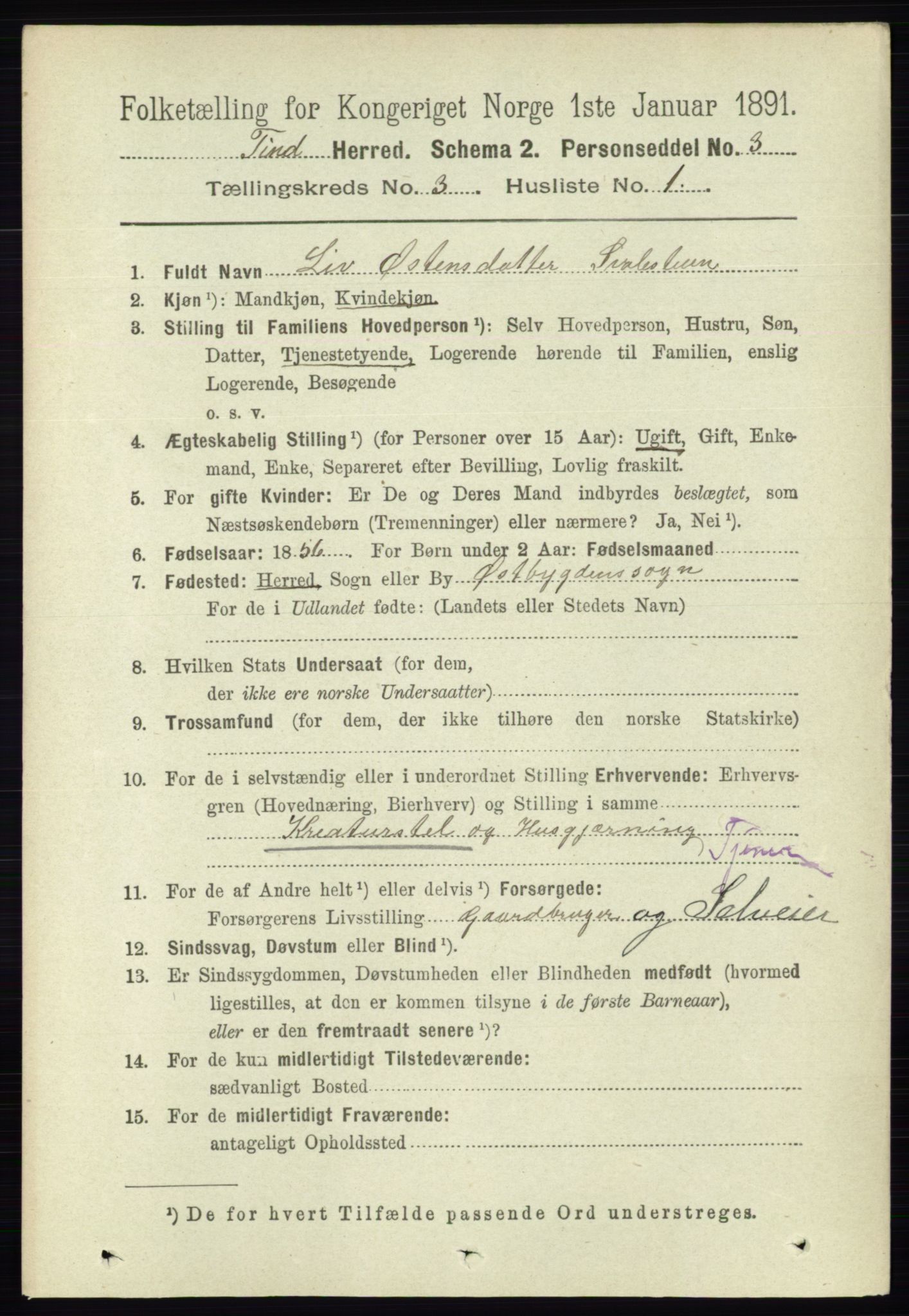 RA, 1891 census for 0826 Tinn, 1891, p. 506