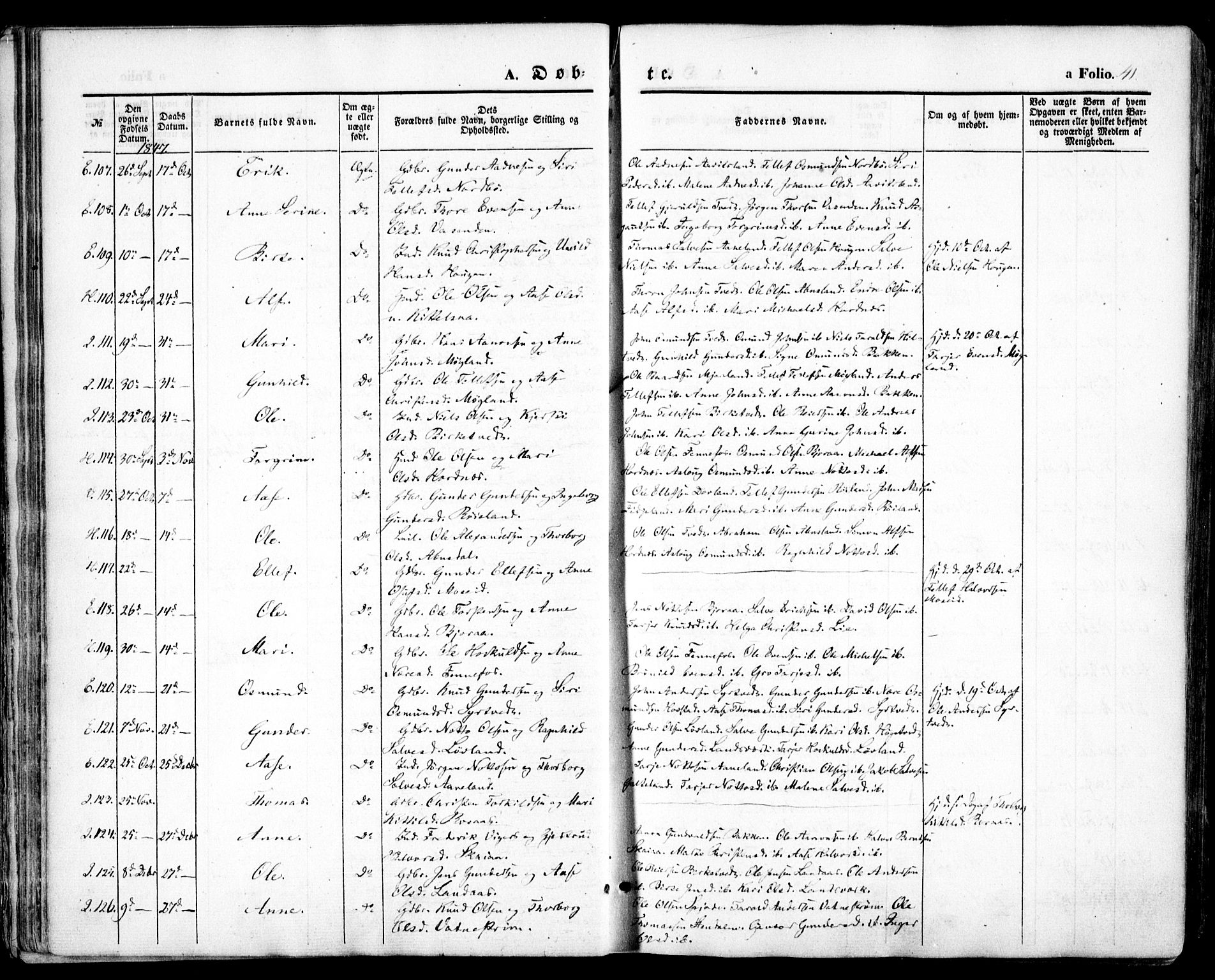 Evje sokneprestkontor, AV/SAK-1111-0008/F/Fa/Faa/L0005: Parish register (official) no. A 5, 1843-1865, p. 41