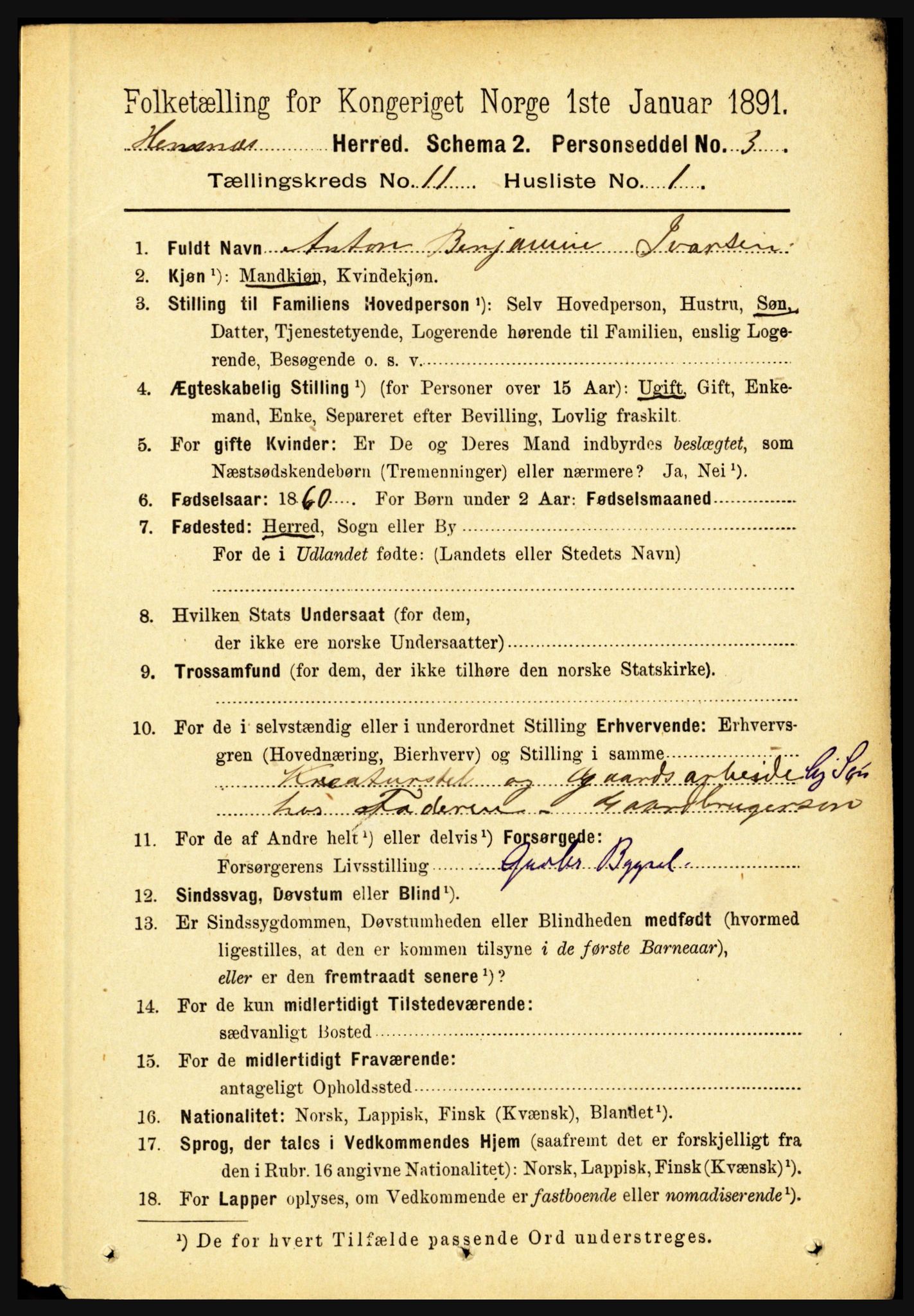 RA, 1891 census for 1832 Hemnes, 1891, p. 5306