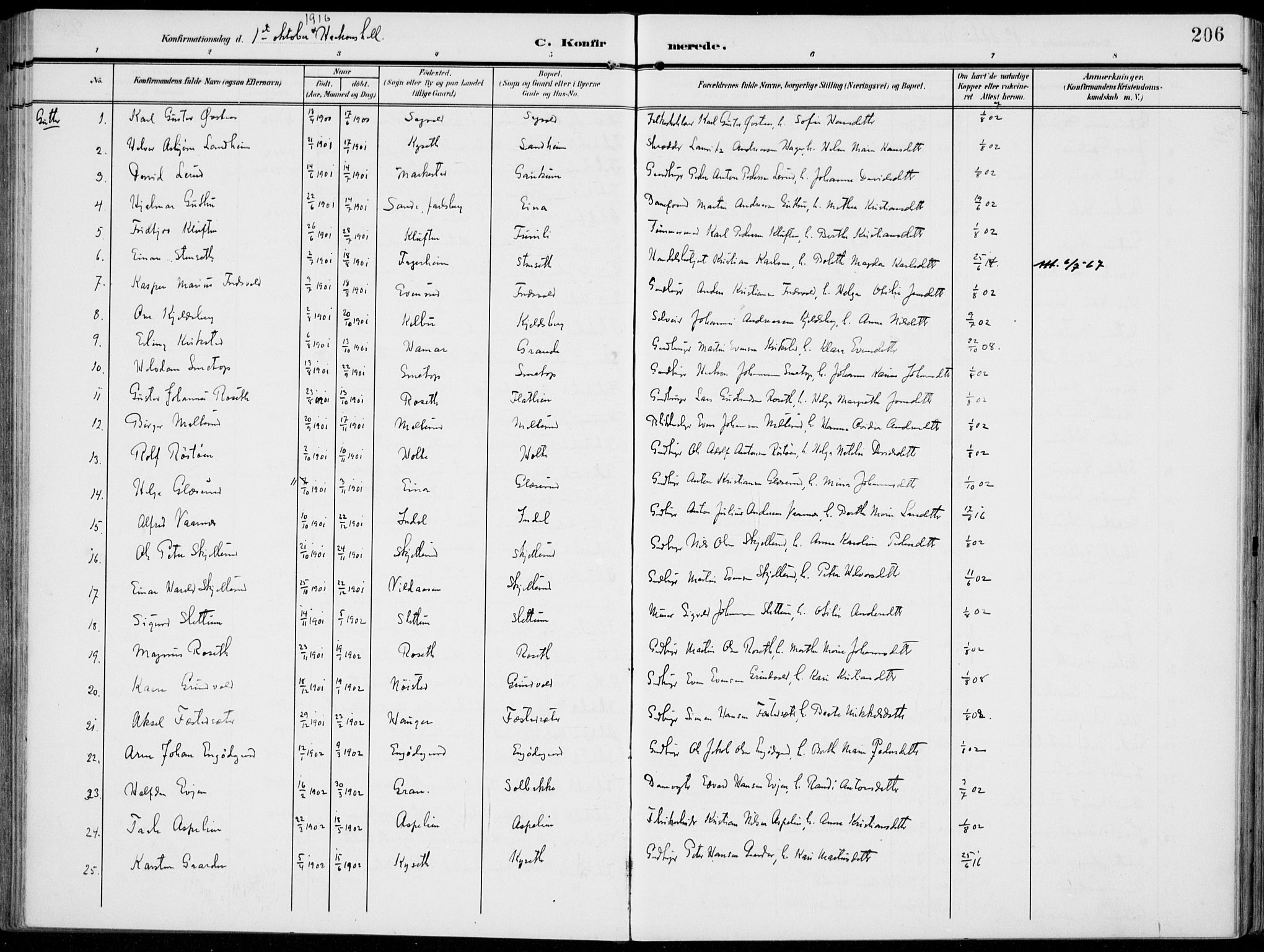 Vestre Toten prestekontor, AV/SAH-PREST-108/H/Ha/Haa/L0014: Parish register (official) no. 14, 1907-1920, p. 206