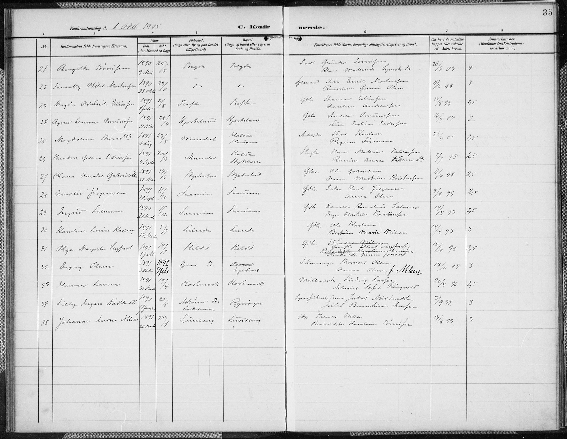 Mandal sokneprestkontor, AV/SAK-1111-0030/F/Fa/Faa/L0019: Parish register (official) no. A 19, 1902-1912, p. 35