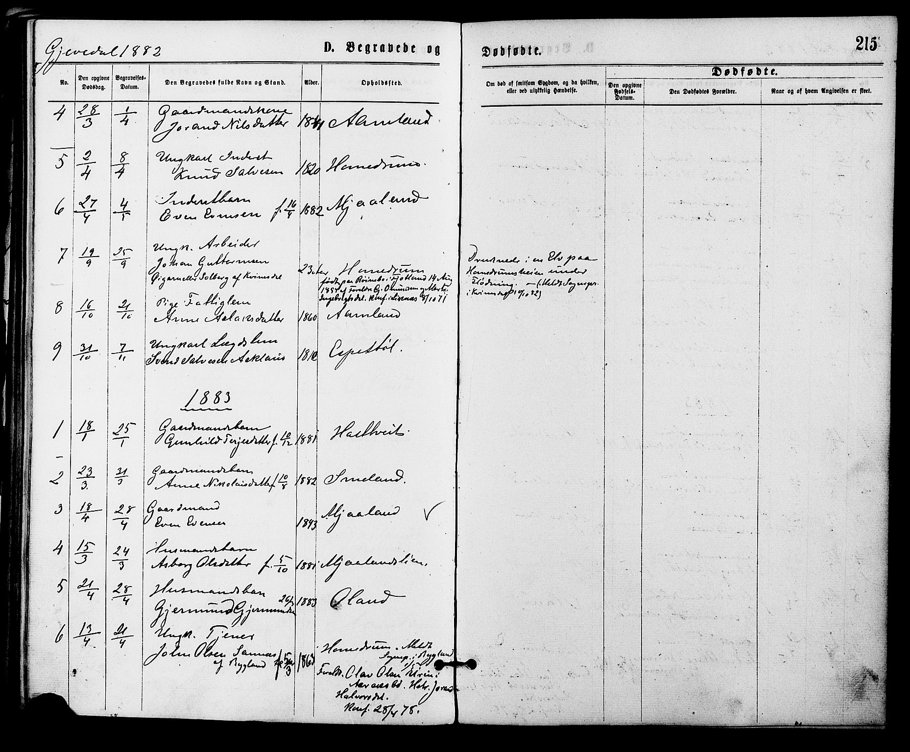 Åmli sokneprestkontor, AV/SAK-1111-0050/F/Fa/Fac/L0009: Parish register (official) no. A 9 /2, 1869-1884, p. 215