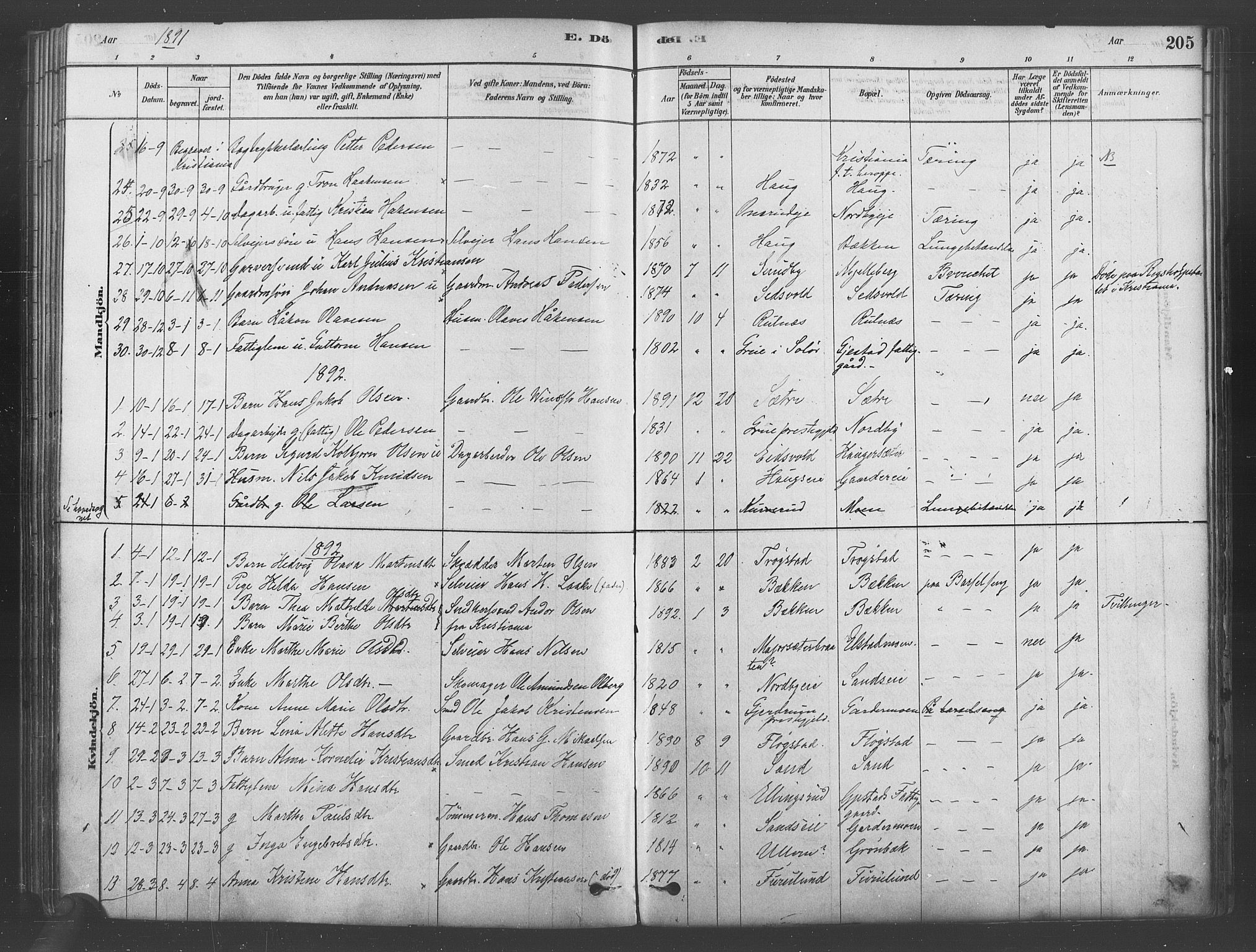 Ullensaker prestekontor Kirkebøker, SAO/A-10236a/F/Fb/L0001: Parish register (official) no. II 1, 1878-1893, p. 205