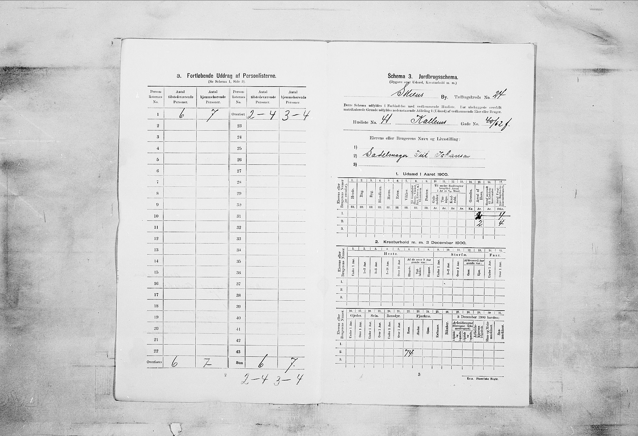 SAKO, 1900 census for Skien, 1900, p. 4619