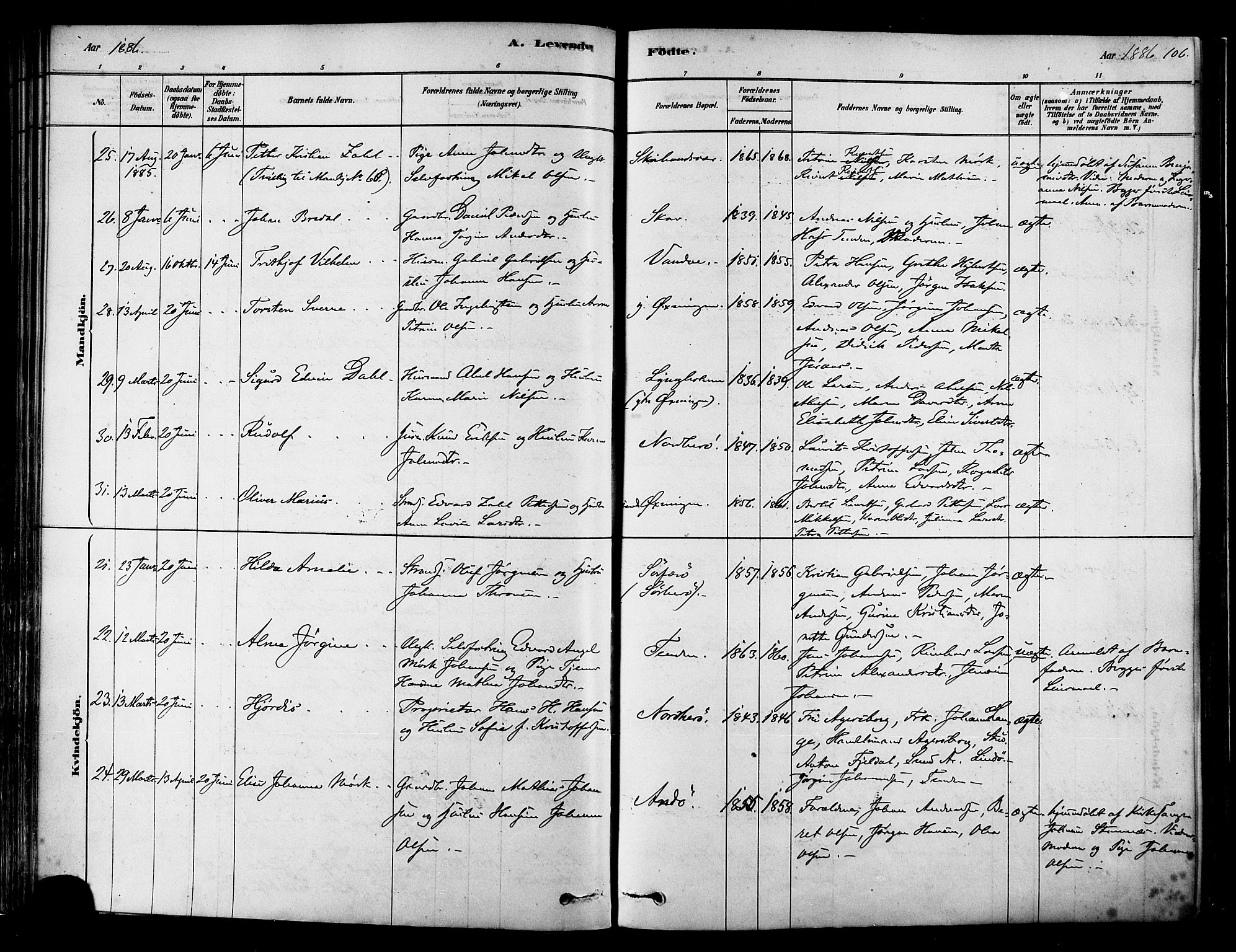 Ministerialprotokoller, klokkerbøker og fødselsregistre - Nordland, SAT/A-1459/834/L0507: Parish register (official) no. 834A05, 1878-1892, p. 106