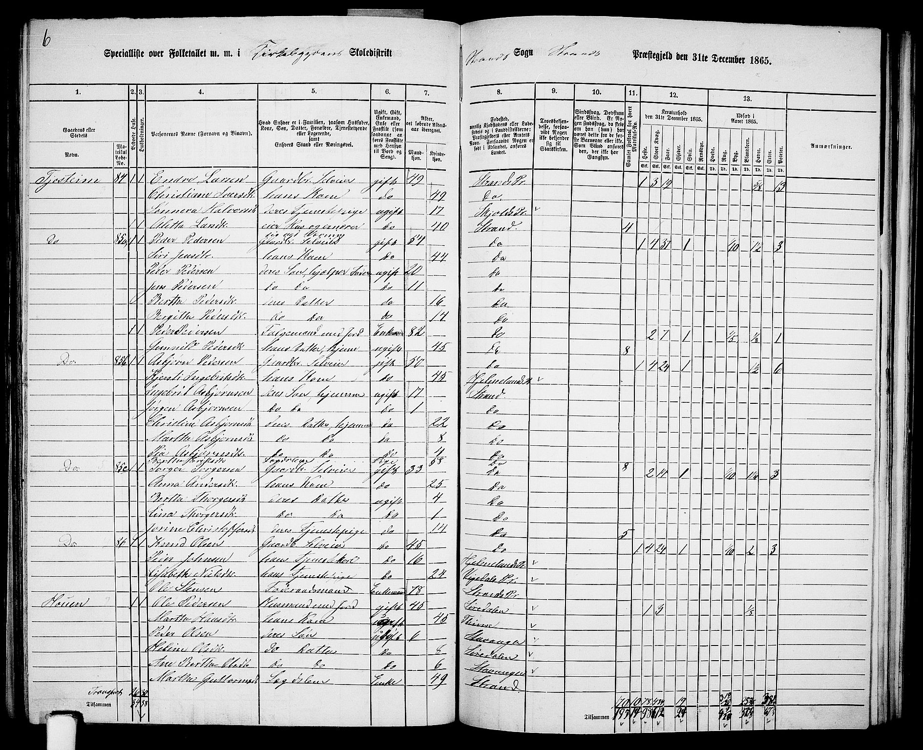 RA, 1865 census for Strand, 1865, p. 45