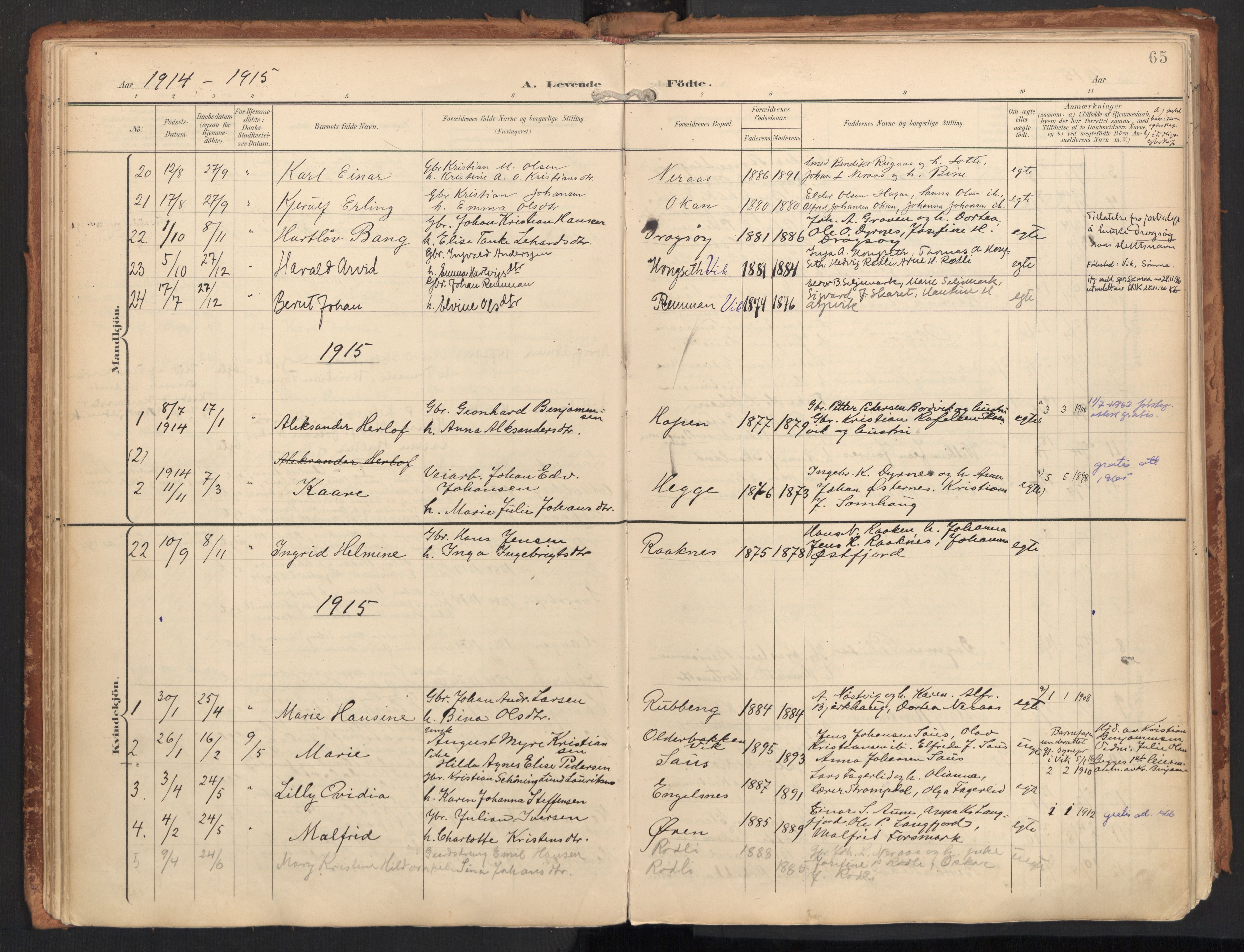 Ministerialprotokoller, klokkerbøker og fødselsregistre - Nordland, SAT/A-1459/814/L0227: Parish register (official) no. 814A08, 1899-1920, p. 65