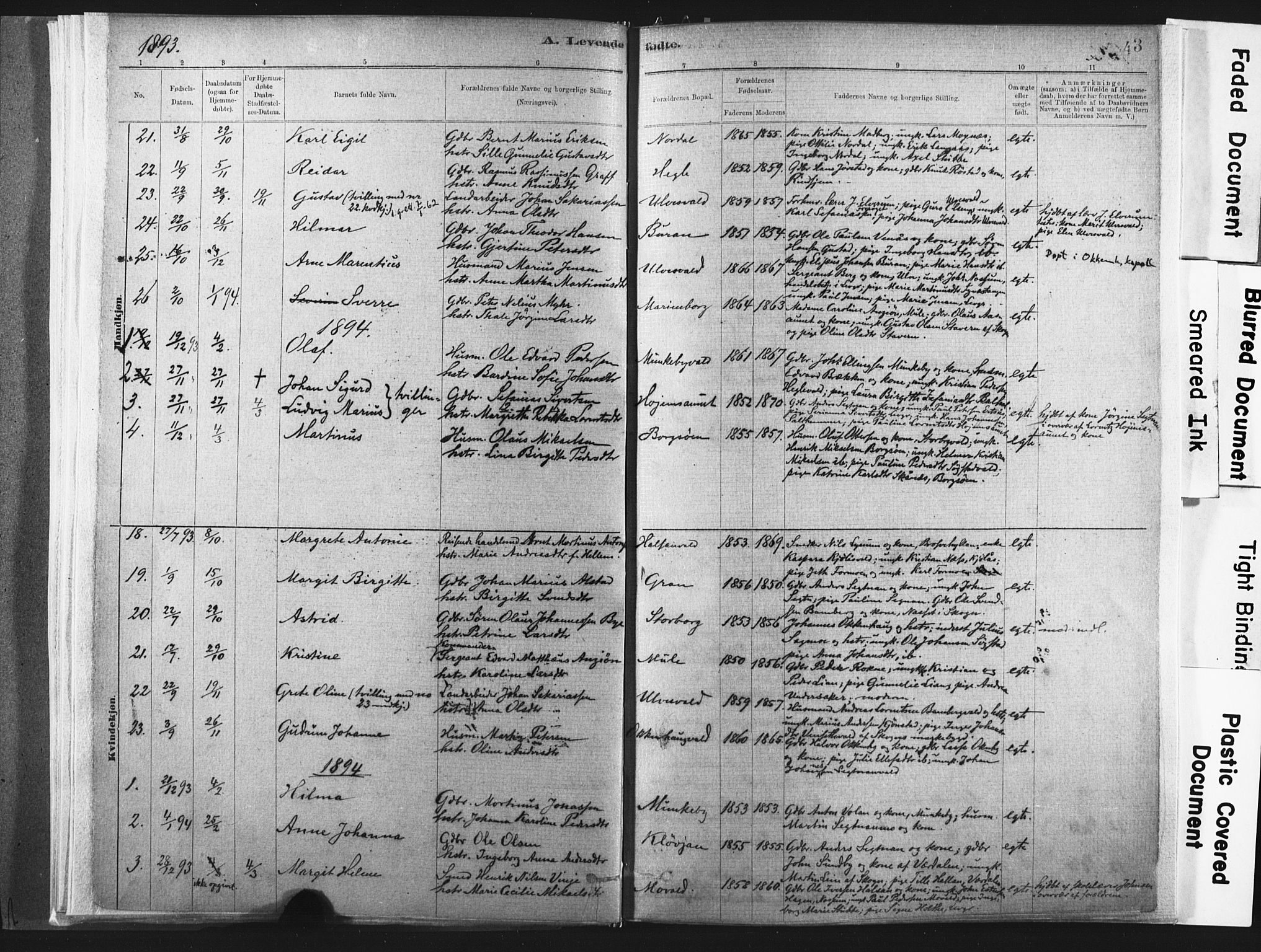 Ministerialprotokoller, klokkerbøker og fødselsregistre - Nord-Trøndelag, SAT/A-1458/721/L0207: Parish register (official) no. 721A02, 1880-1911, p. 43
