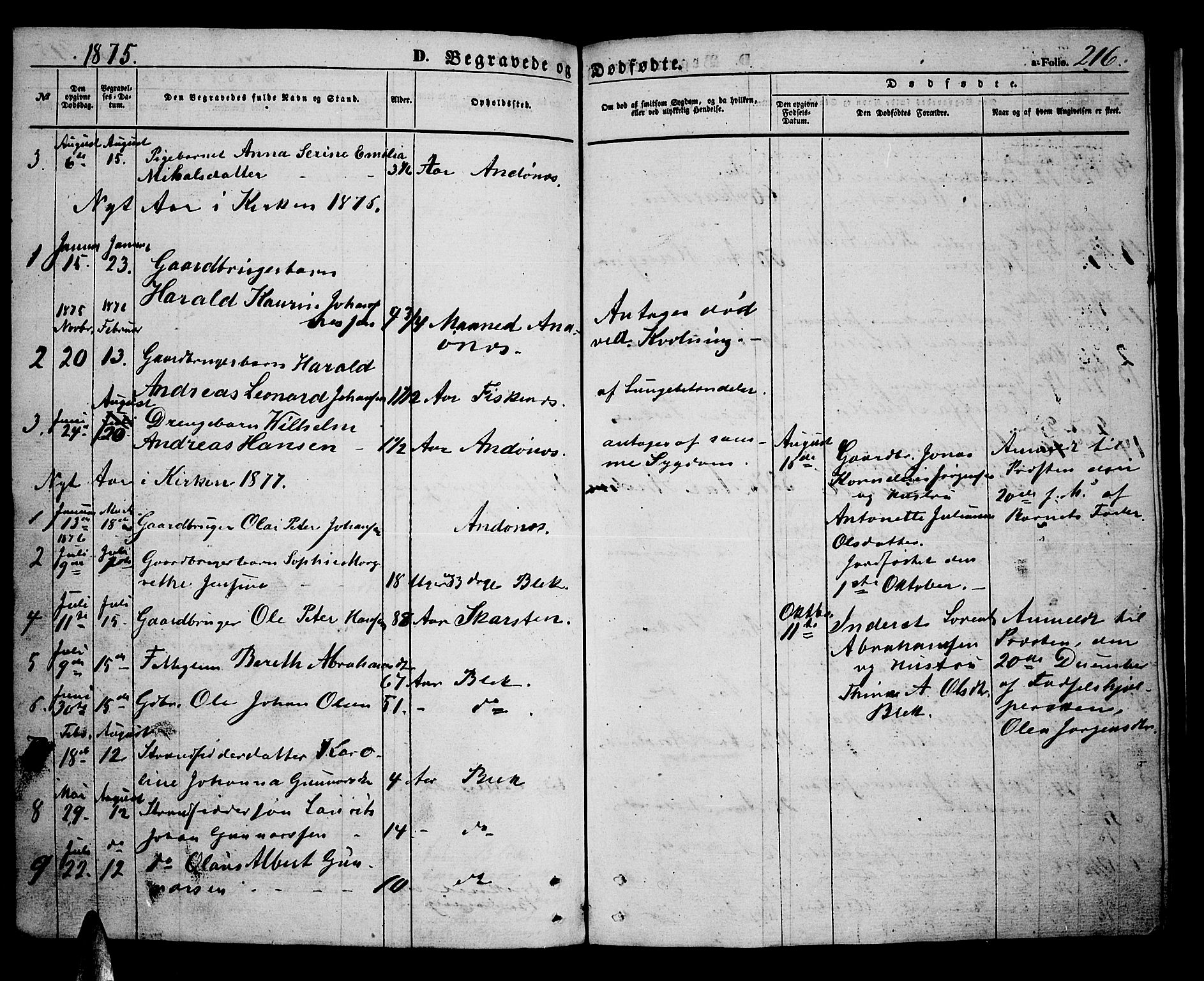 Ministerialprotokoller, klokkerbøker og fødselsregistre - Nordland, SAT/A-1459/899/L1447: Parish register (copy) no. 899C02, 1855-1886, p. 216