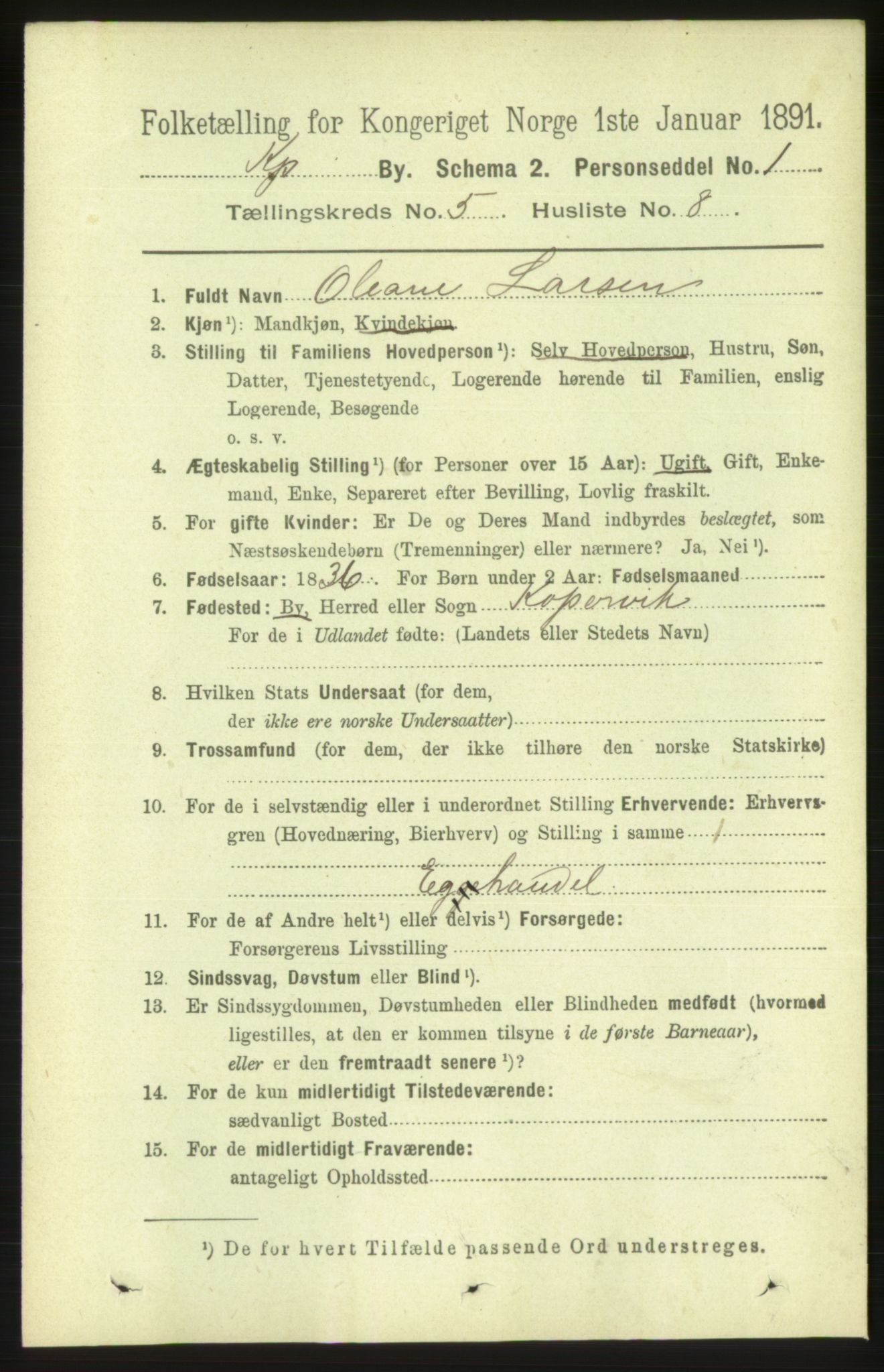 RA, 1891 census for 1105 Kopervik, 1891, p. 567