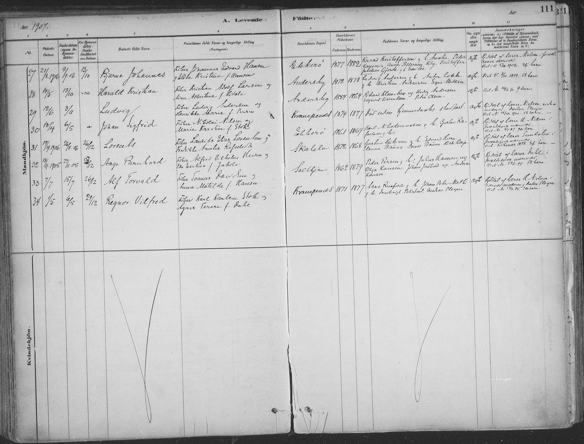 Vadsø sokneprestkontor, AV/SATØ-S-1325/H/Ha/L0009kirke: Parish register (official) no. 9, 1881-1917, p. 111