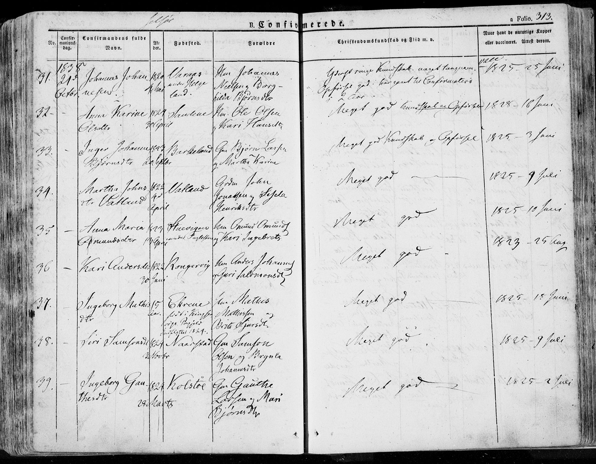 Jelsa sokneprestkontor, AV/SAST-A-101842/01/IV: Parish register (official) no. A 6.1, 1828-1853, p. 313