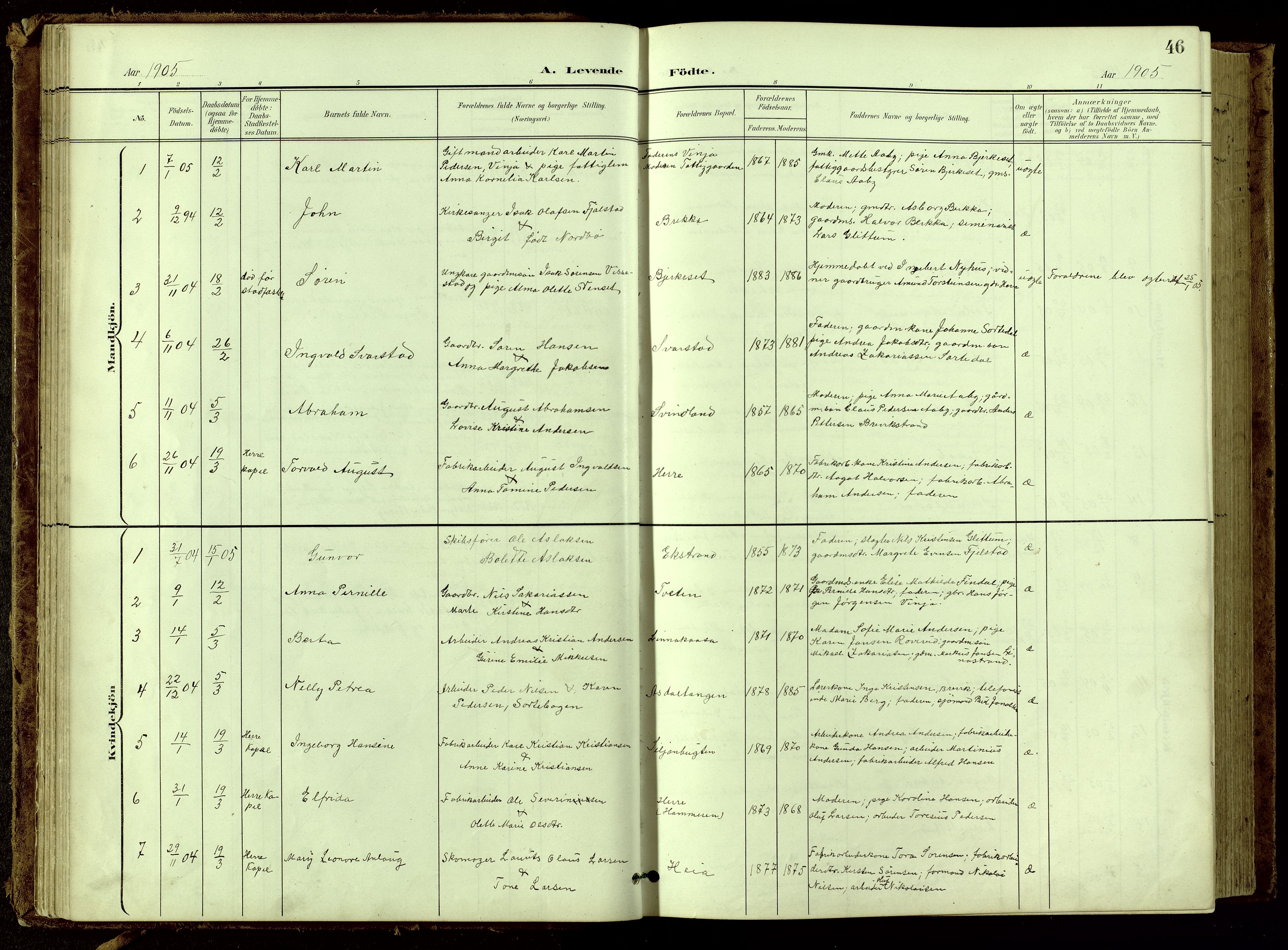 Bamble kirkebøker, SAKO/A-253/G/Ga/L0010: Parish register (copy) no. I 10, 1901-1919, p. 46