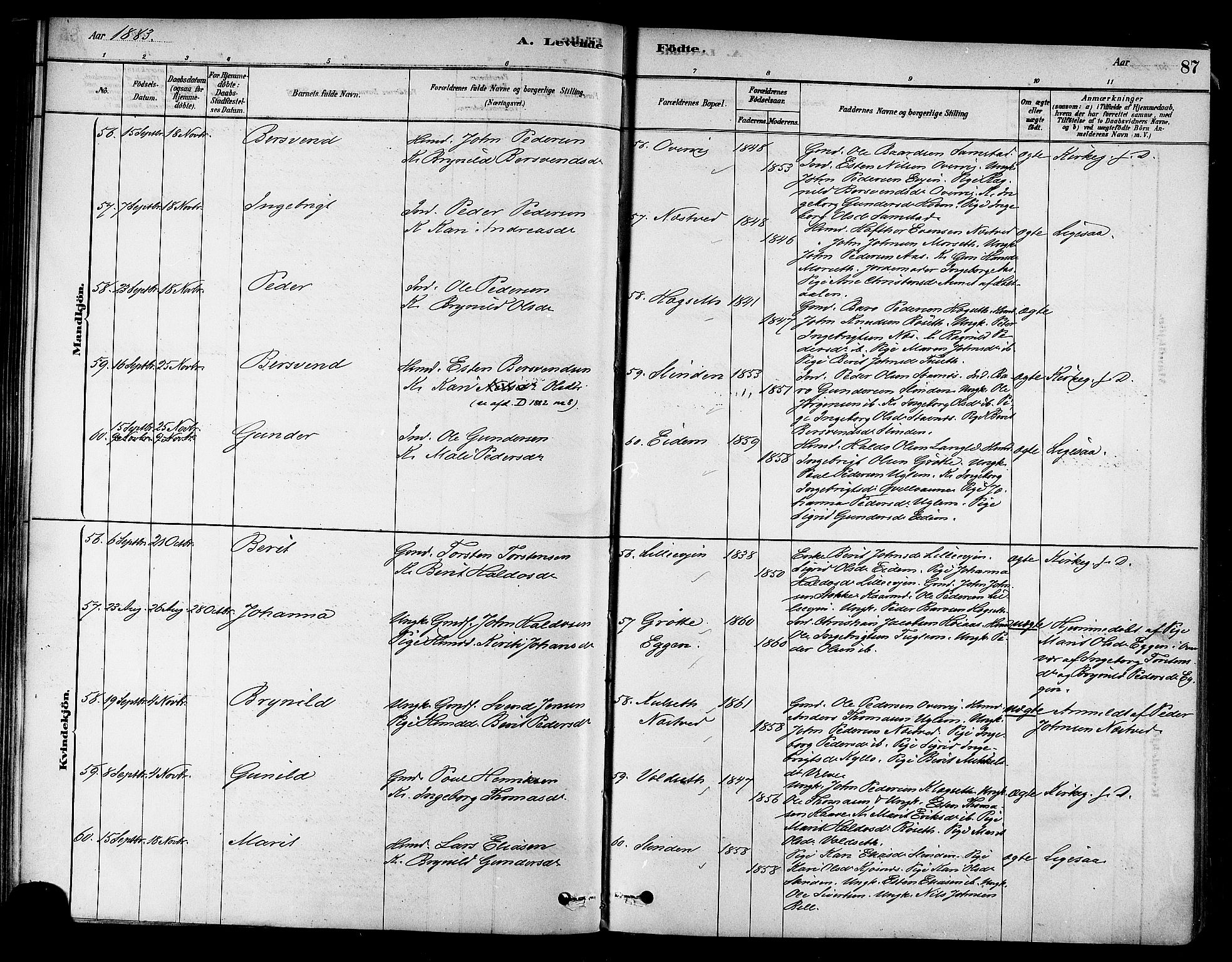 Ministerialprotokoller, klokkerbøker og fødselsregistre - Sør-Trøndelag, AV/SAT-A-1456/695/L1148: Parish register (official) no. 695A08, 1878-1891, p. 87