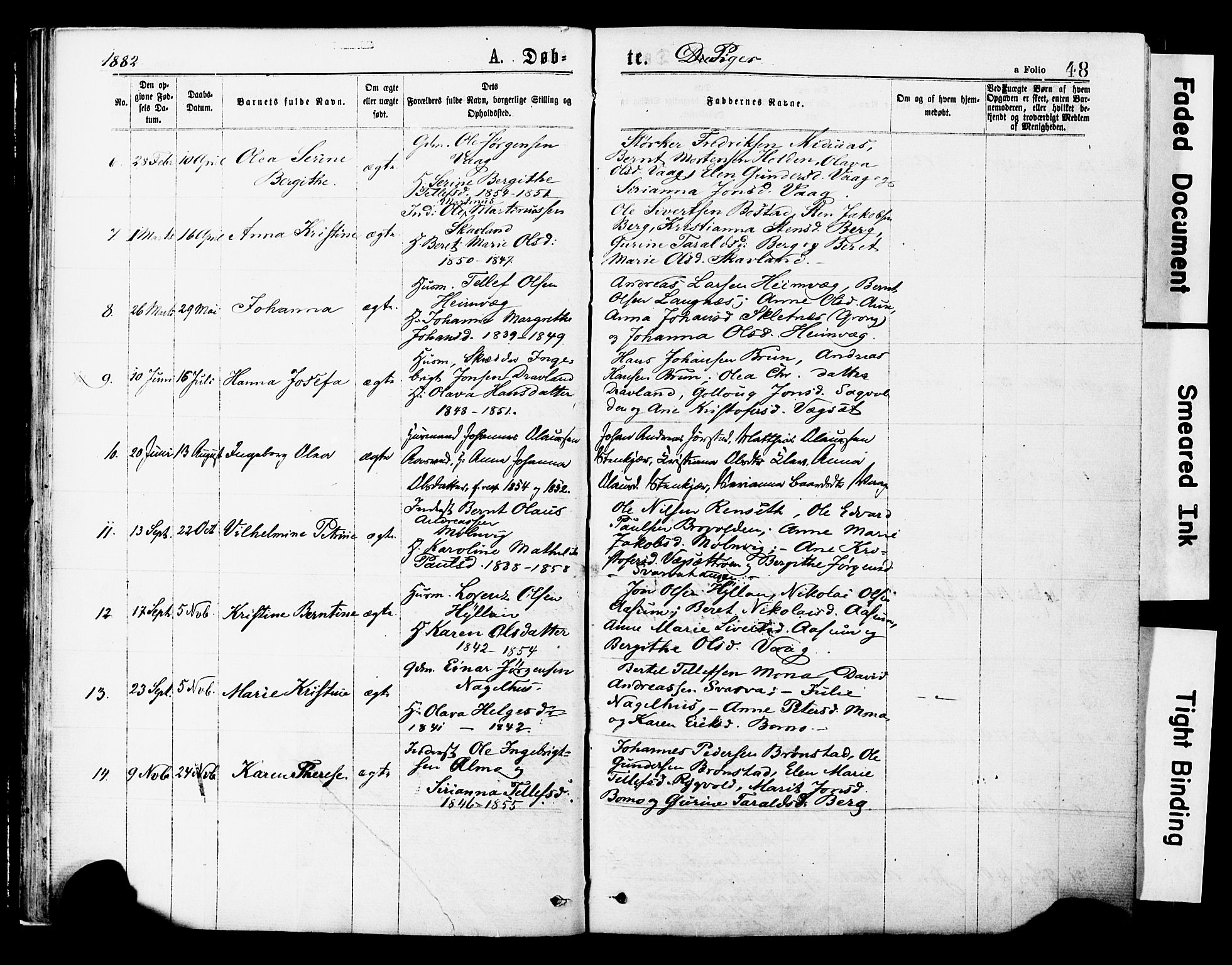 Ministerialprotokoller, klokkerbøker og fødselsregistre - Nord-Trøndelag, AV/SAT-A-1458/749/L0473: Parish register (official) no. 749A07, 1873-1887, p. 48