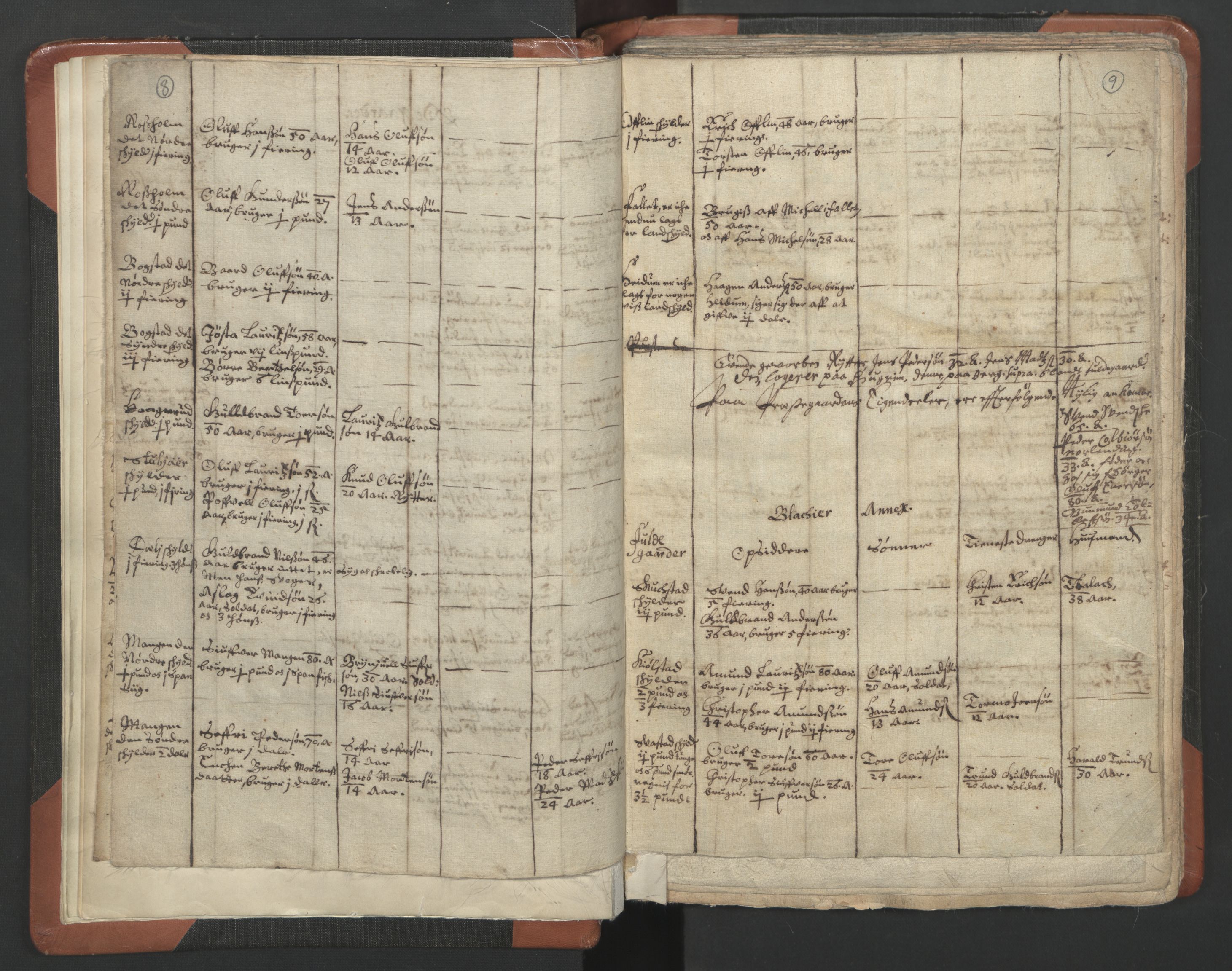 RA, Vicar's Census 1664-1666, no. 3: Nedre Romerike deanery, 1664-1666, p. 8-9