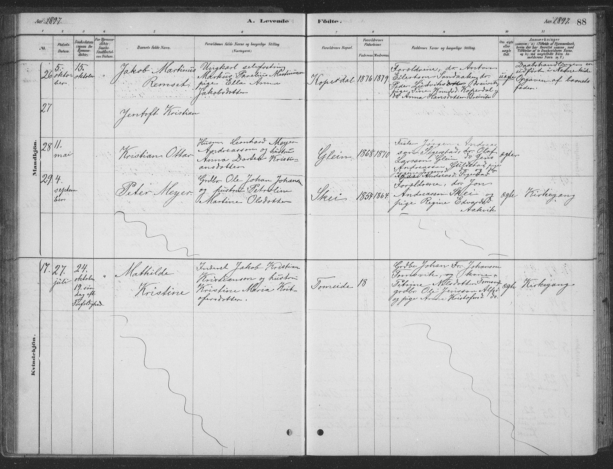 Ministerialprotokoller, klokkerbøker og fødselsregistre - Nordland, AV/SAT-A-1459/835/L0532: Parish register (copy) no. 835C04, 1880-1905, p. 88