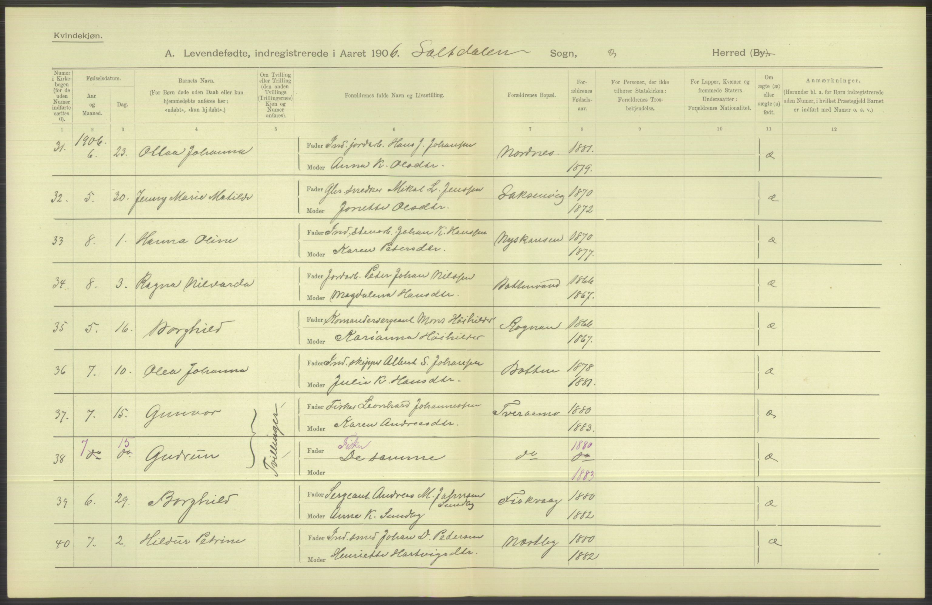 Statistisk sentralbyrå, Sosiodemografiske emner, Befolkning, AV/RA-S-2228/D/Df/Dfa/Dfad/L0044: Nordlands amt: Levendefødte menn og kvinner. Bygder., 1906, p. 190