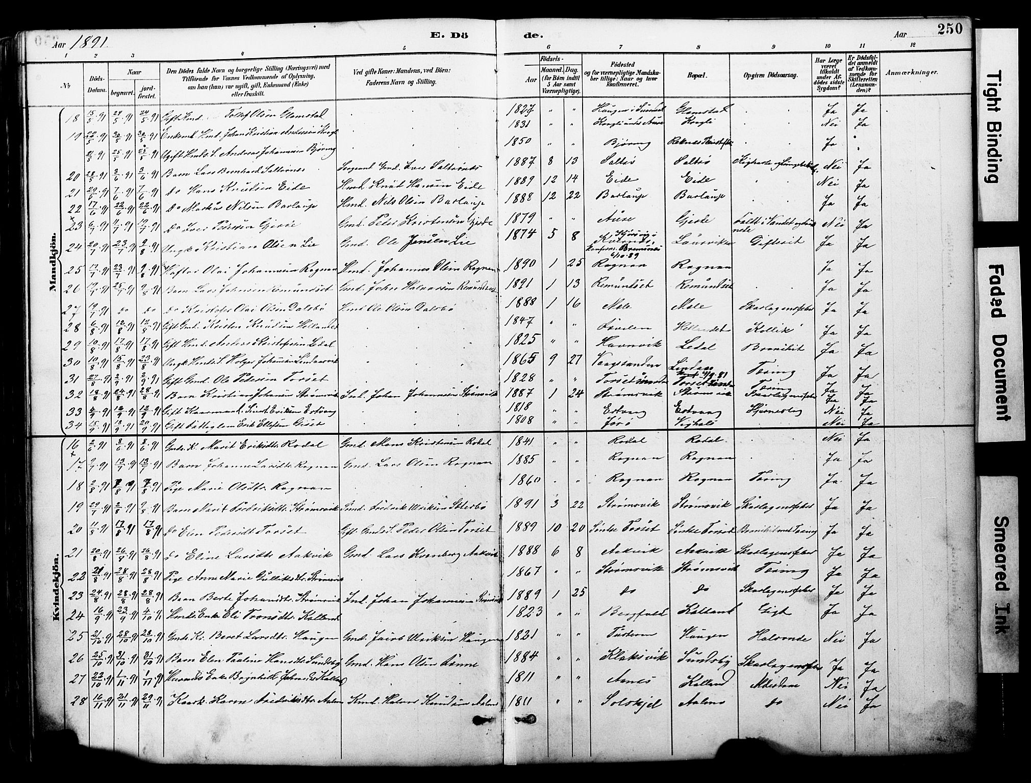 Ministerialprotokoller, klokkerbøker og fødselsregistre - Møre og Romsdal, AV/SAT-A-1454/578/L0907: Parish register (official) no. 578A06, 1887-1904, p. 250