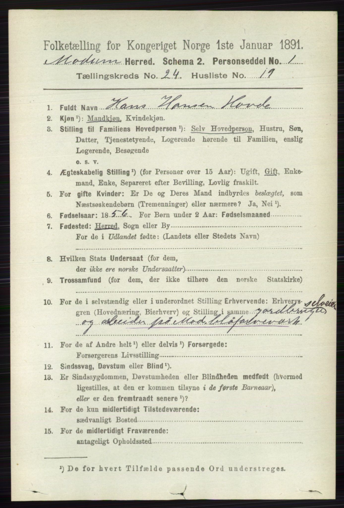 RA, 1891 census for 0623 Modum, 1891, p. 8969