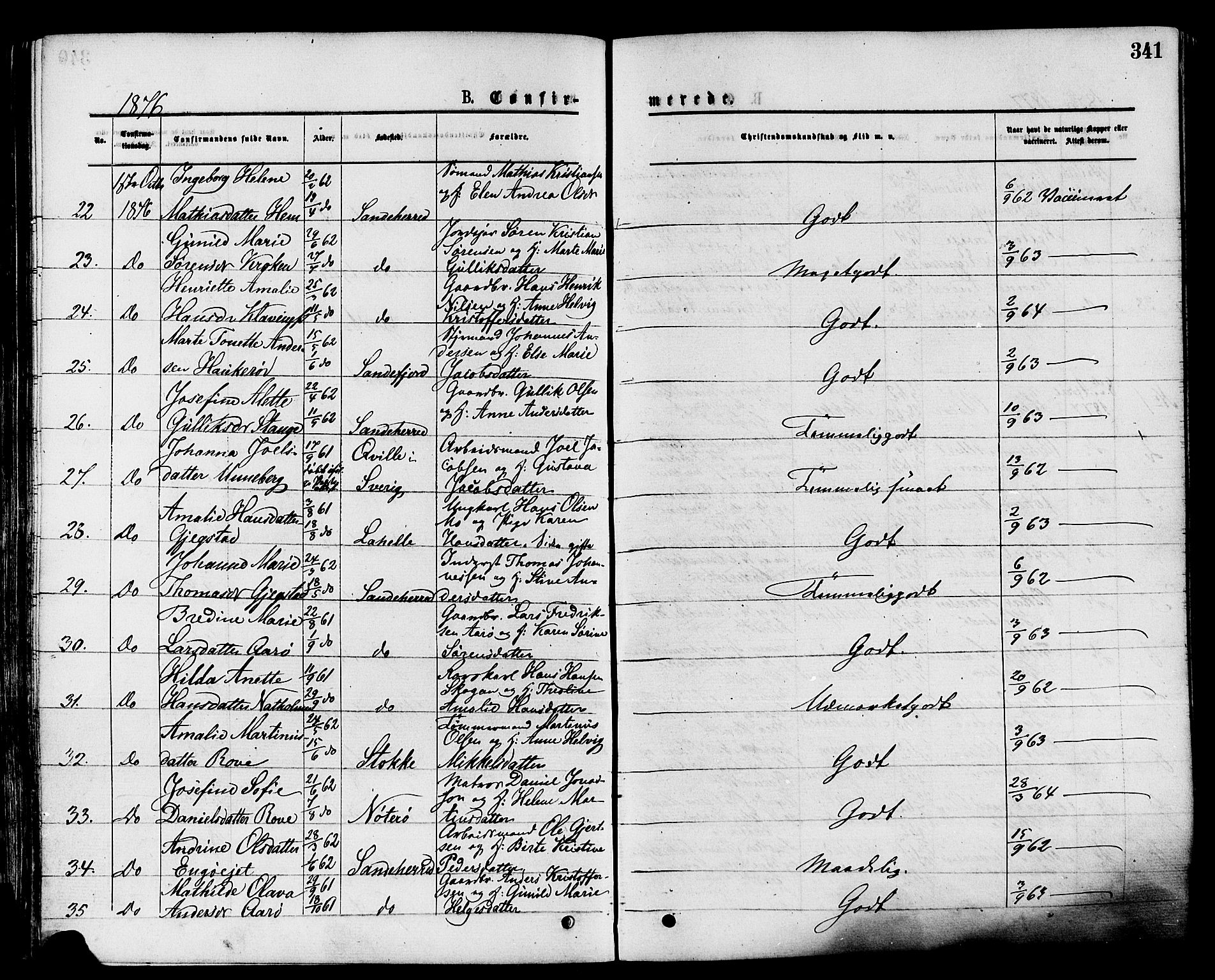 Sandar kirkebøker, AV/SAKO-A-243/F/Fa/L0010: Parish register (official) no. 10, 1872-1882, p. 341