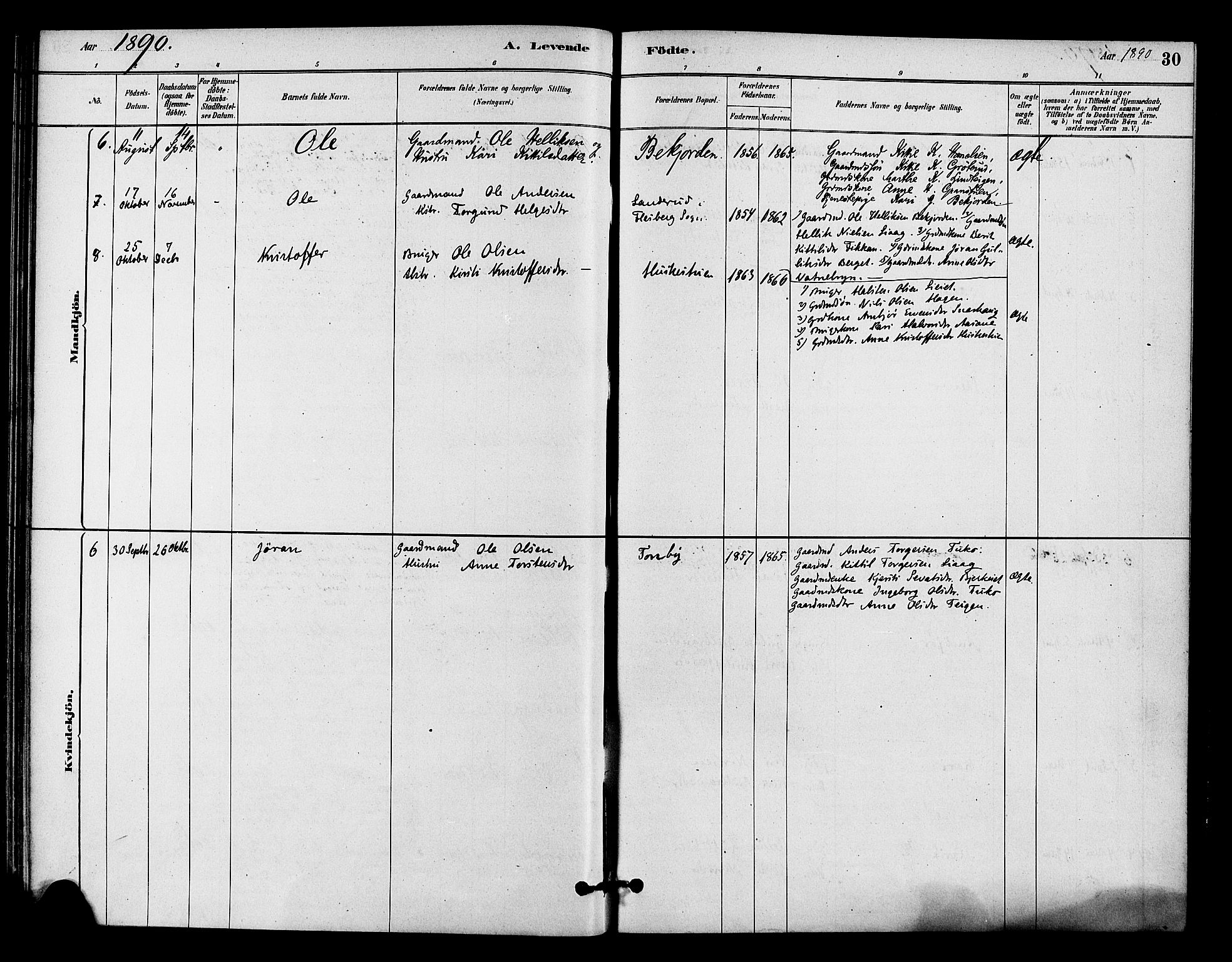 Flesberg kirkebøker, SAKO/A-18/F/Fc/L0001: Parish register (official) no. III 1, 1879-1905, p. 30