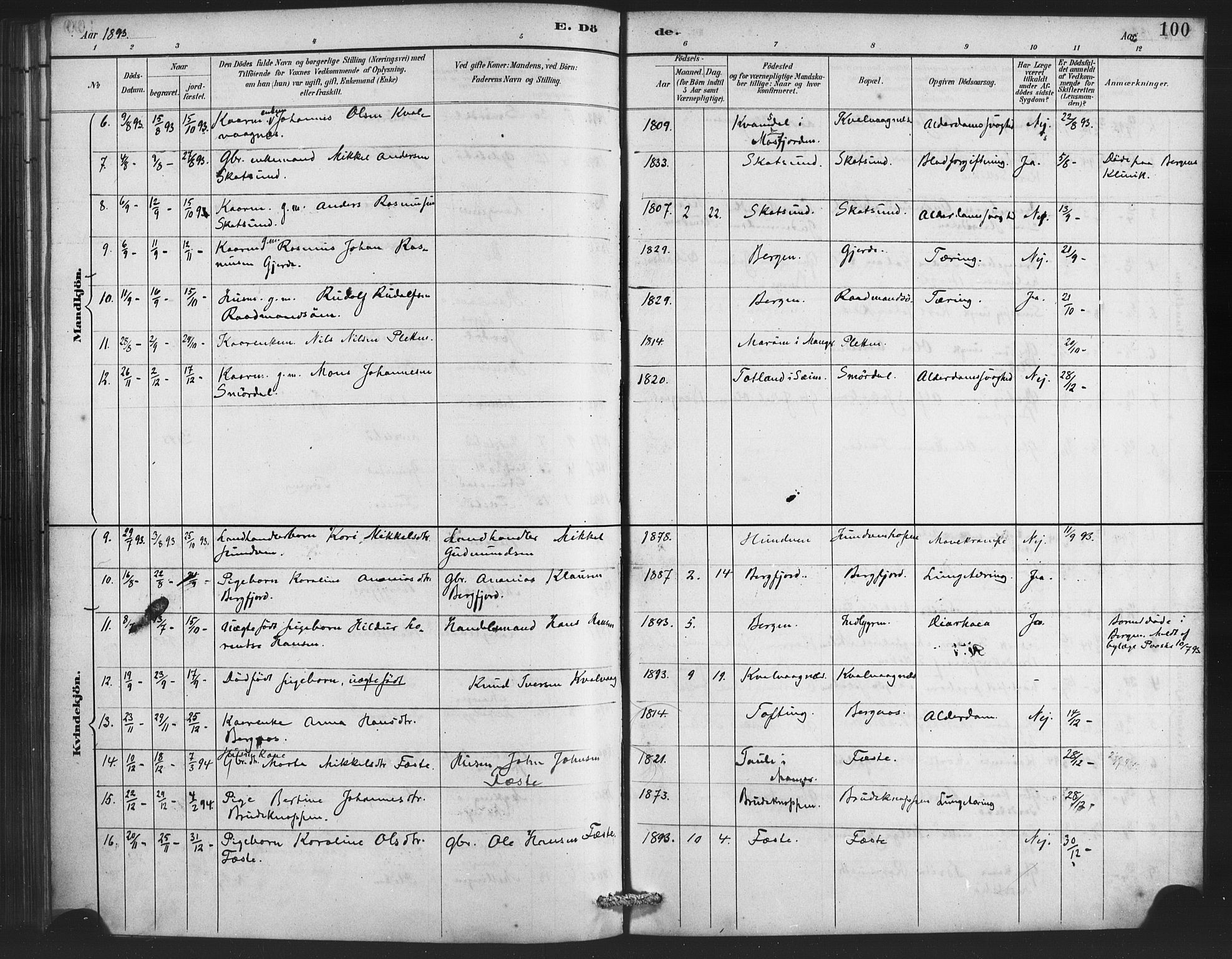 Lindås Sokneprestembete, SAB/A-76701/H/Haa: Parish register (official) no. E 1, 1886-1897, p. 100