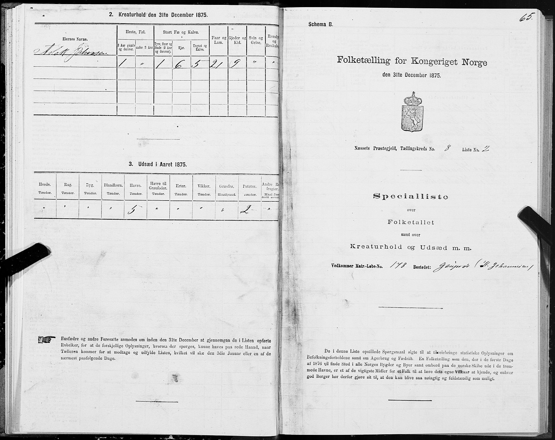 SAT, 1875 census for 1543P Nesset, 1875, p. 4065