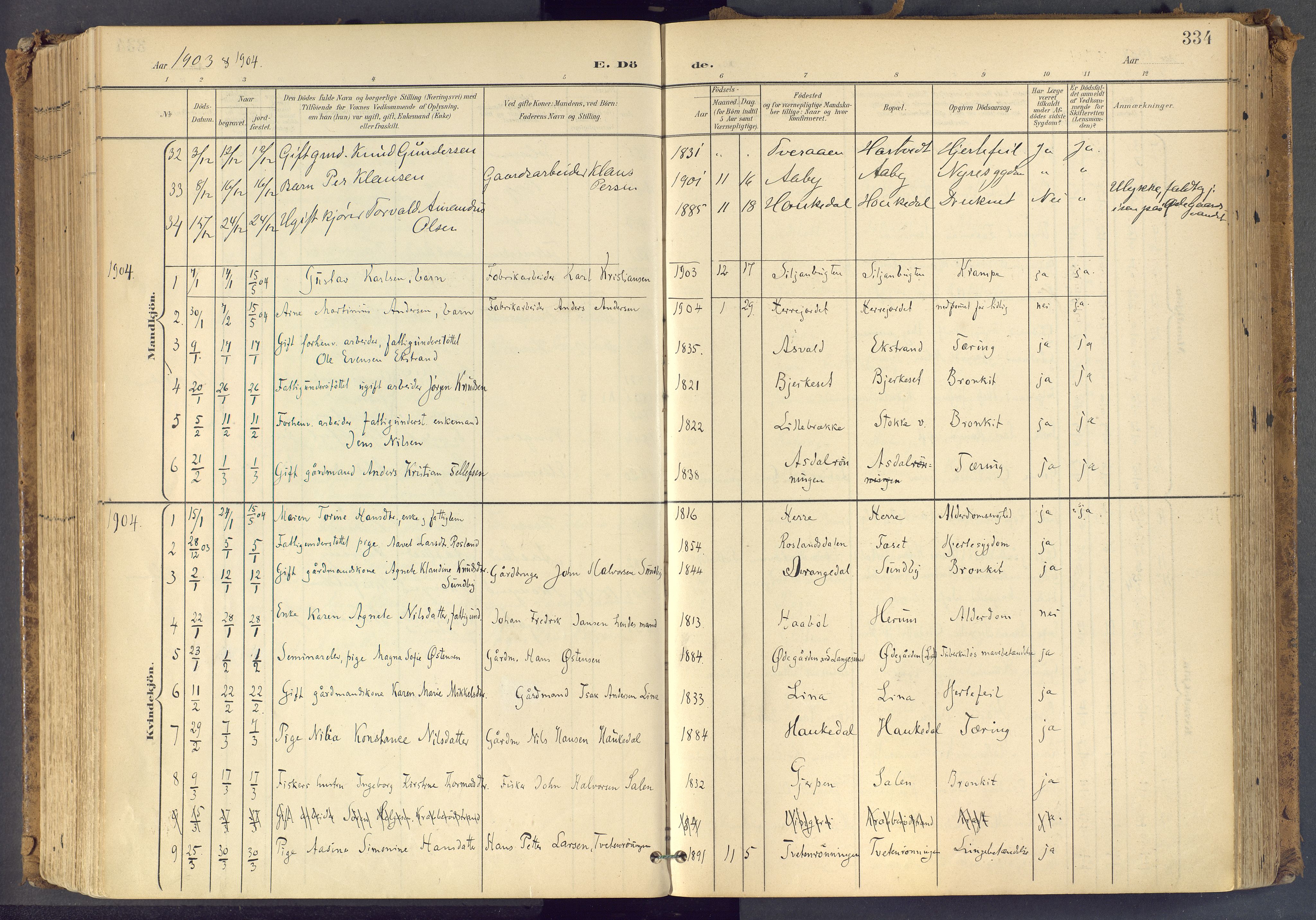 Bamble kirkebøker, SAKO/A-253/F/Fa/L0009: Parish register (official) no. I 9, 1901-1917, p. 334