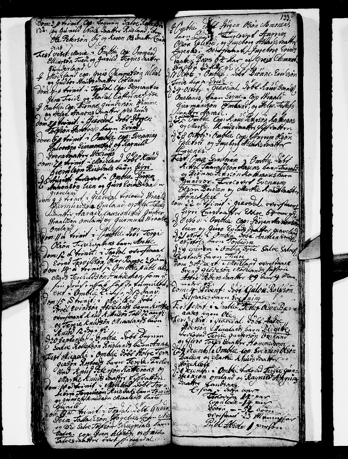 Åmli sokneprestkontor, AV/SAK-1111-0050/F/Fa/Fac/L0001: Parish register (official) no. A 1, 1711-1740, p. 132-133