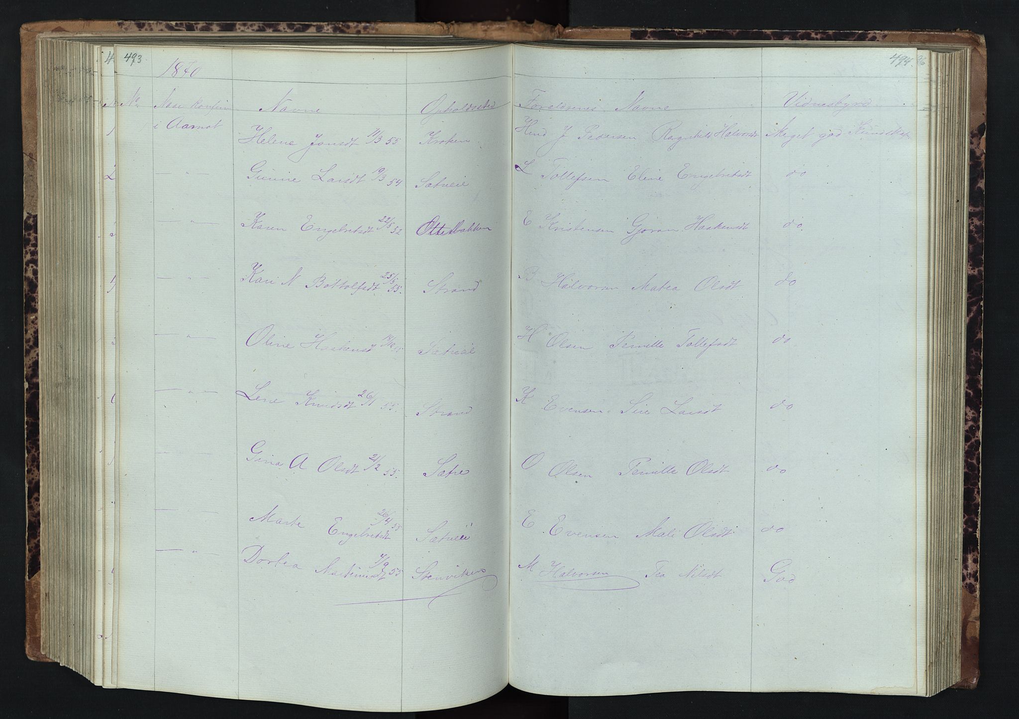 Stor-Elvdal prestekontor, SAH/PREST-052/H/Ha/Hab/L0001: Parish register (copy) no. 1 /1, 1860-1894, p. 493-494