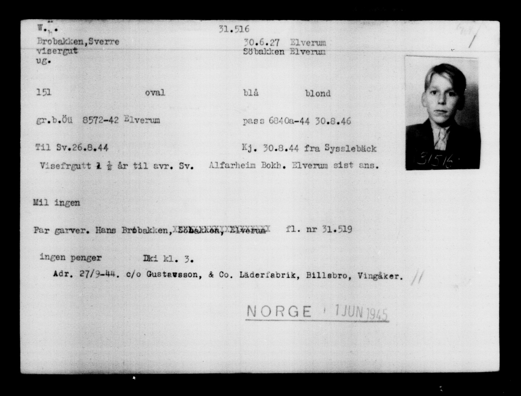 Utenriksstasjonene, Legasjonen i Stockholm, Flyktningkontoret, AV/RA-S-6753/V/Va/L0012: Kjesäterkartoteket, flyktninger med registreringsnr. 28300-31566, 1940-1945, p. 3484