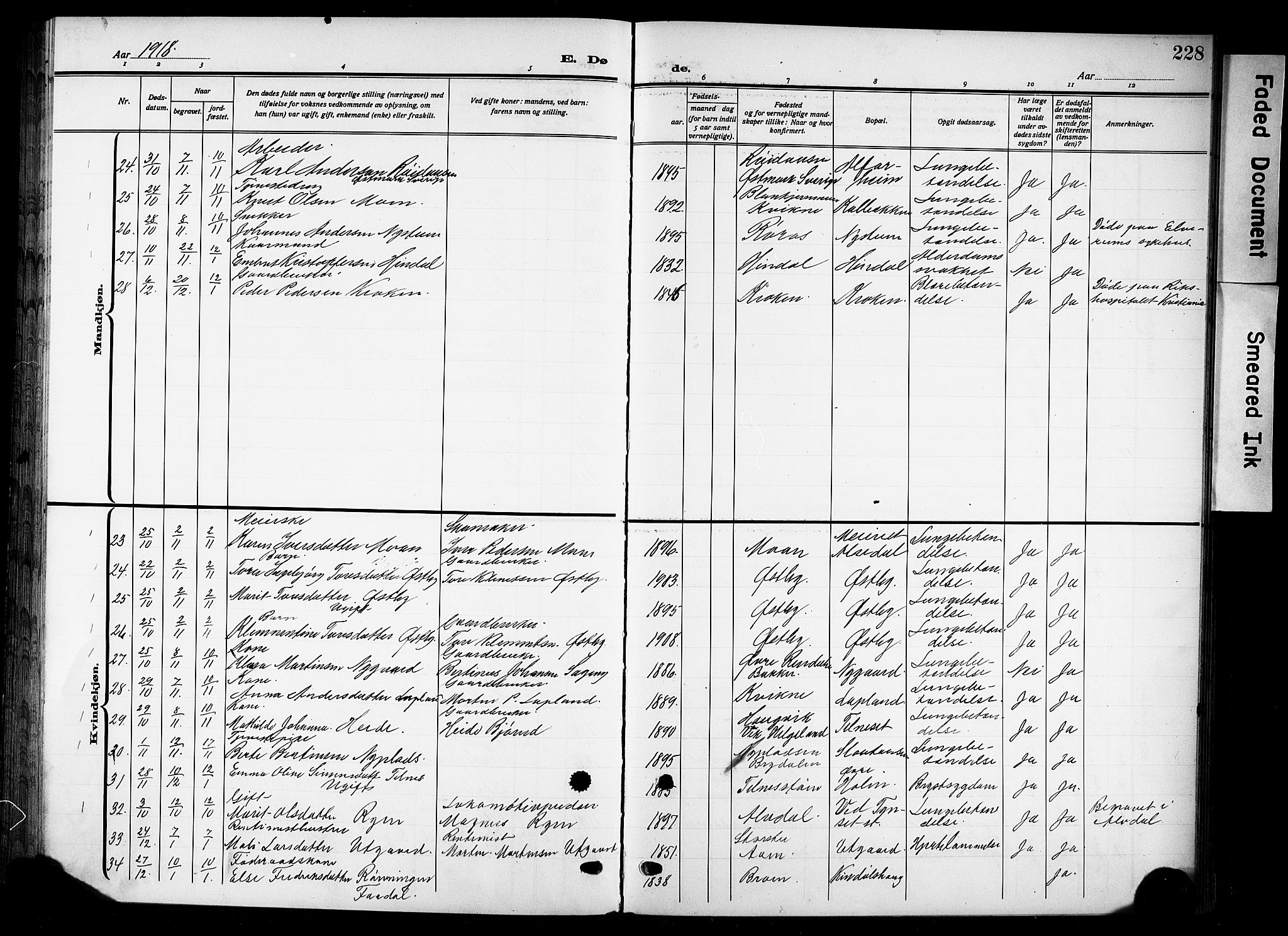 Tynset prestekontor, AV/SAH-PREST-058/H/Ha/Hab/L0011: Parish register (copy) no. 11, 1915-1930, p. 228