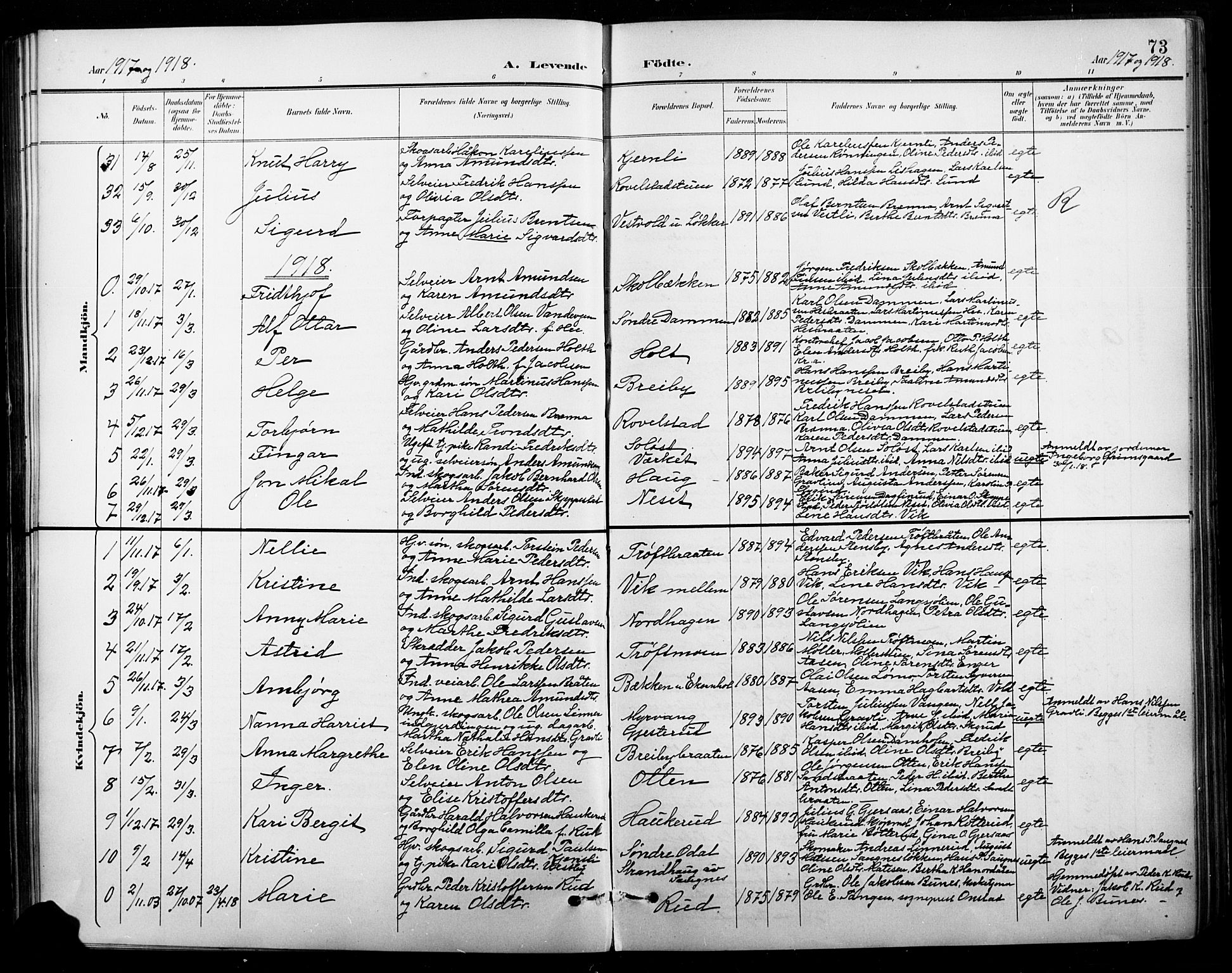 Nord-Odal prestekontor, AV/SAH-PREST-032/H/Ha/Hab/L0003: Parish register (copy) no. 3, 1895-1923, p. 73