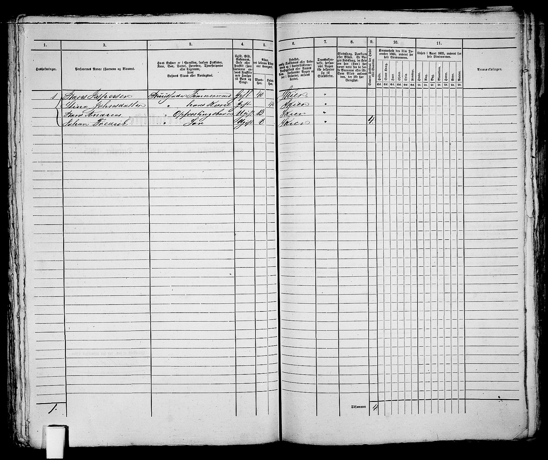 RA, 1865 census for Skien, 1865, p. 317
