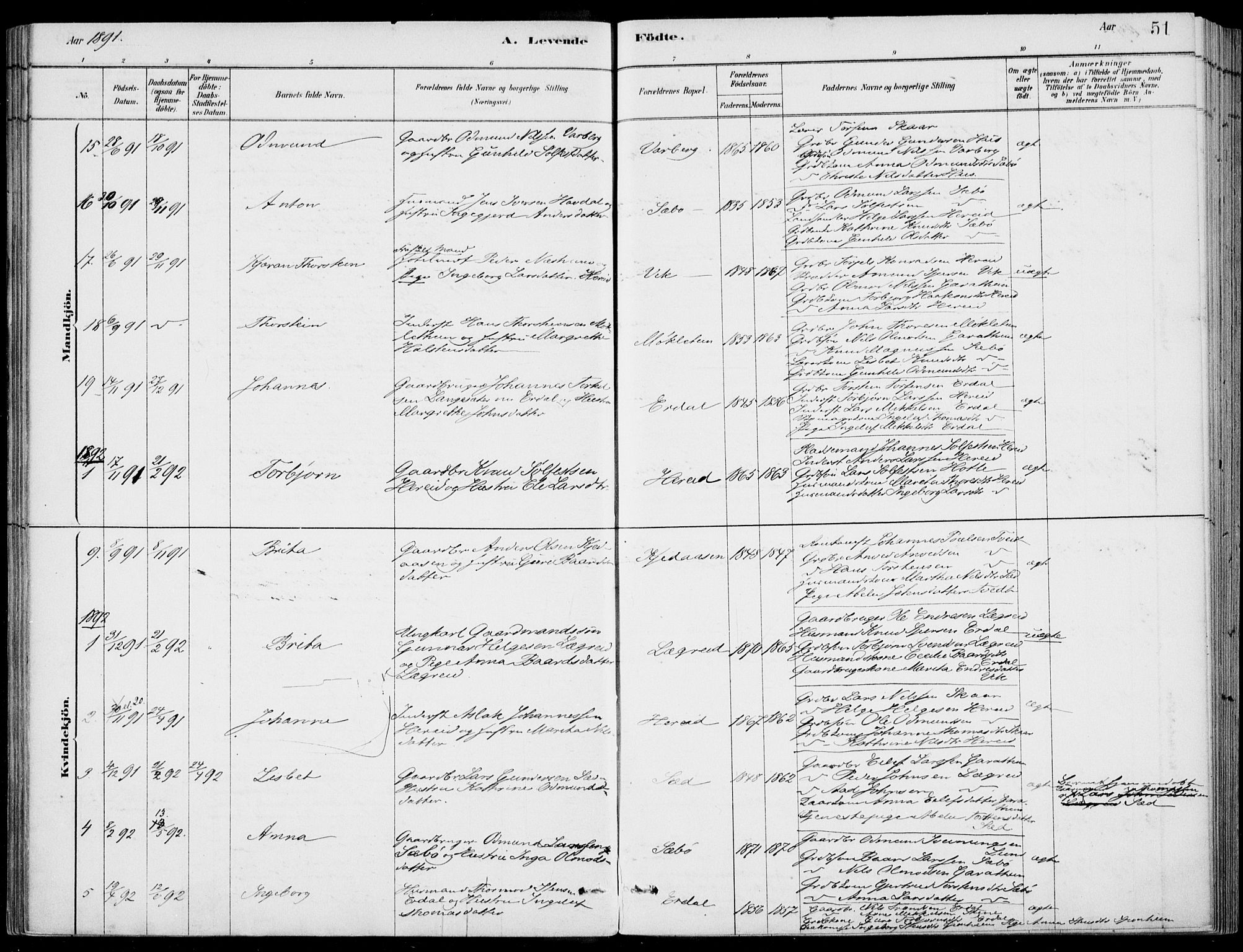 Ulvik sokneprestembete, AV/SAB-A-78801/H/Haa: Parish register (official) no. D  1, 1878-1903, p. 51