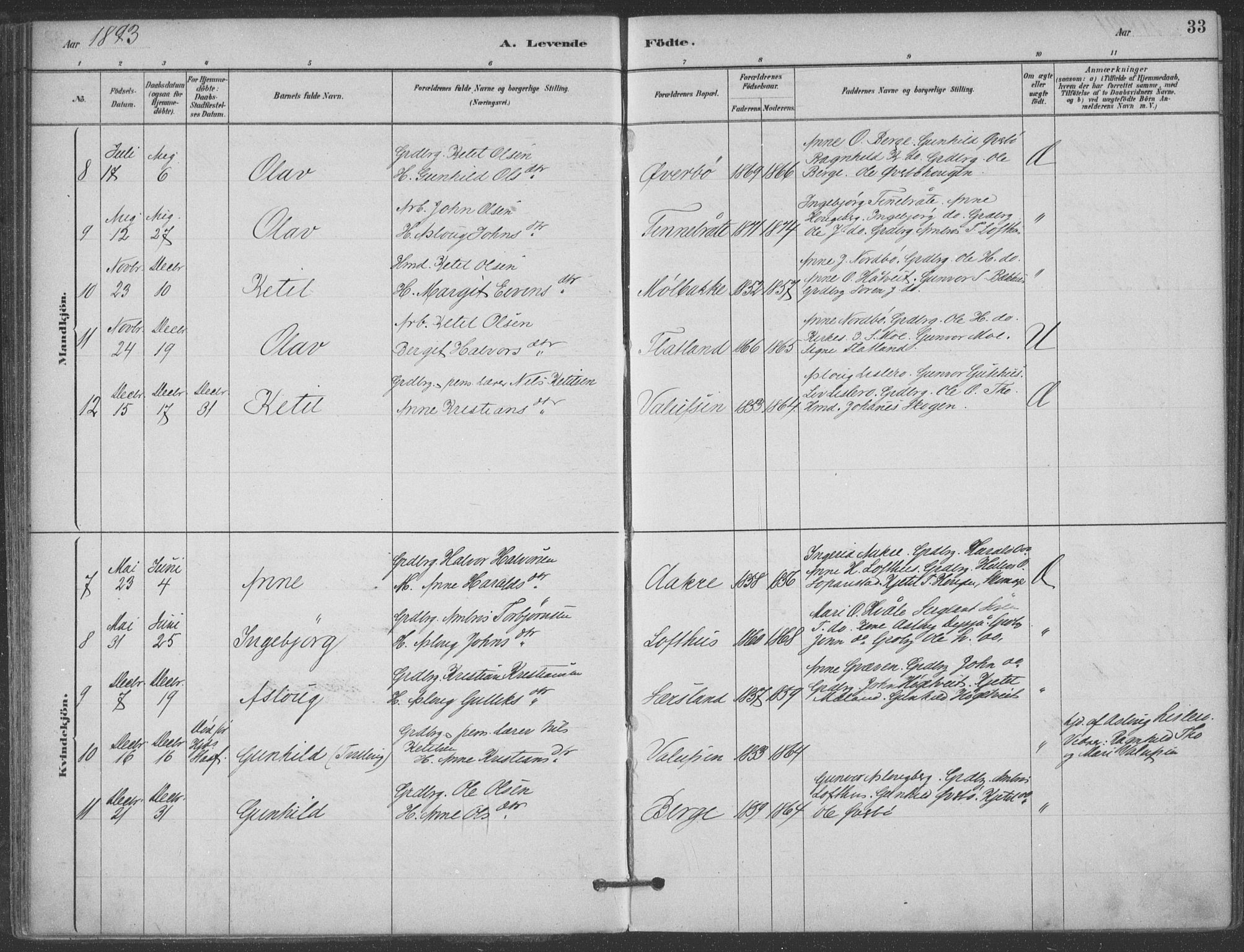 Hjartdal kirkebøker, SAKO/A-270/F/Fa/L0010: Parish register (official) no. I 10, 1880-1929, p. 33
