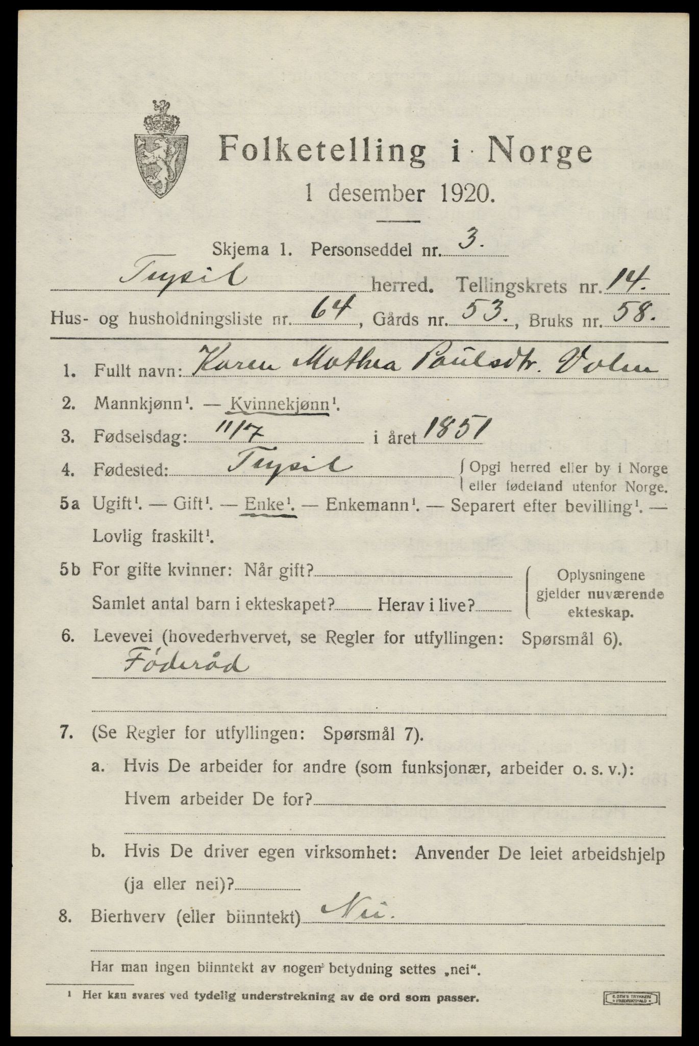 SAH, 1920 census for Trysil, 1920, p. 8703
