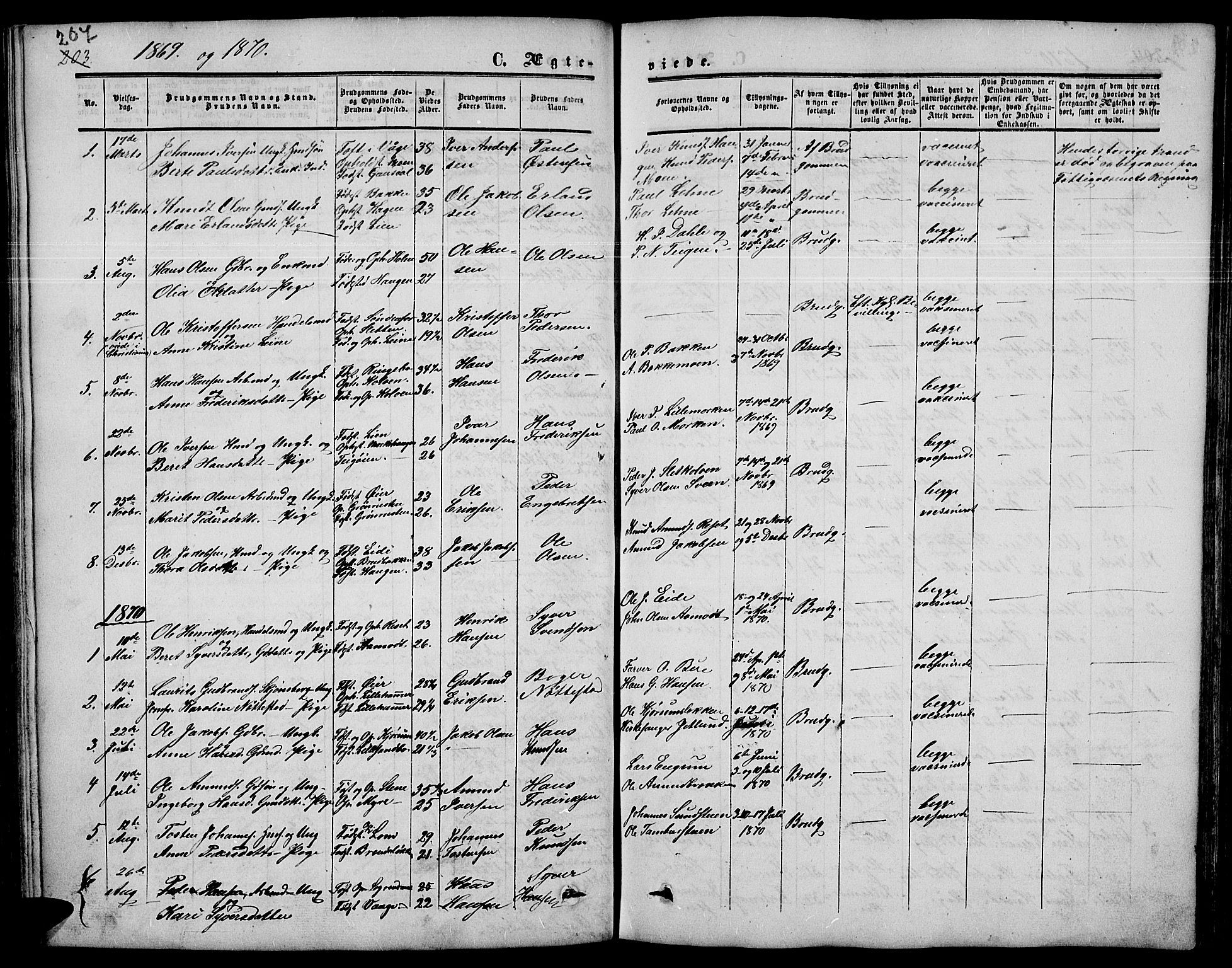 Nord-Fron prestekontor, SAH/PREST-080/H/Ha/Hab/L0003: Parish register (copy) no. 3, 1851-1886, p. 207